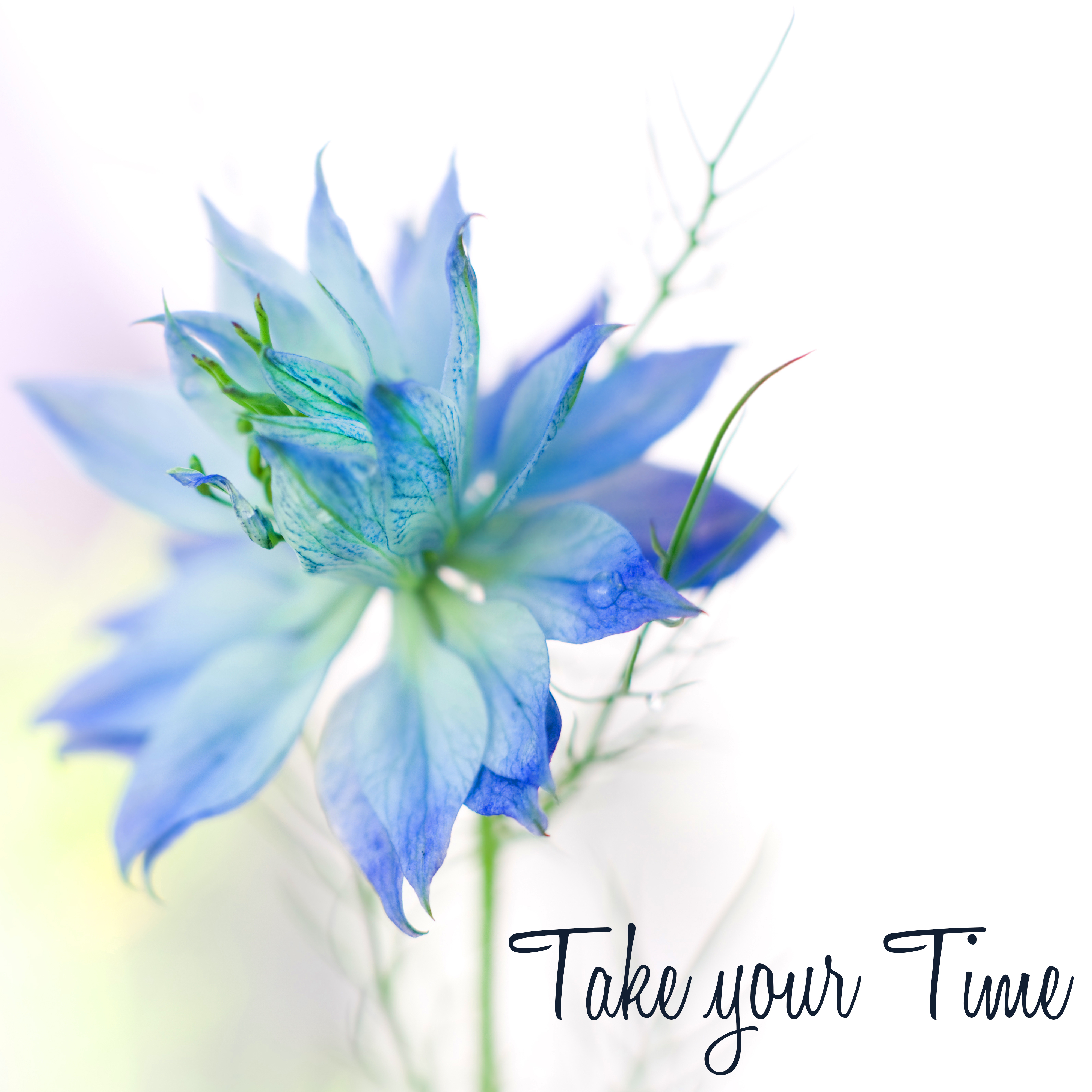Take Your Time - Ethereal Music to Relaxation, Music Therapy Healing