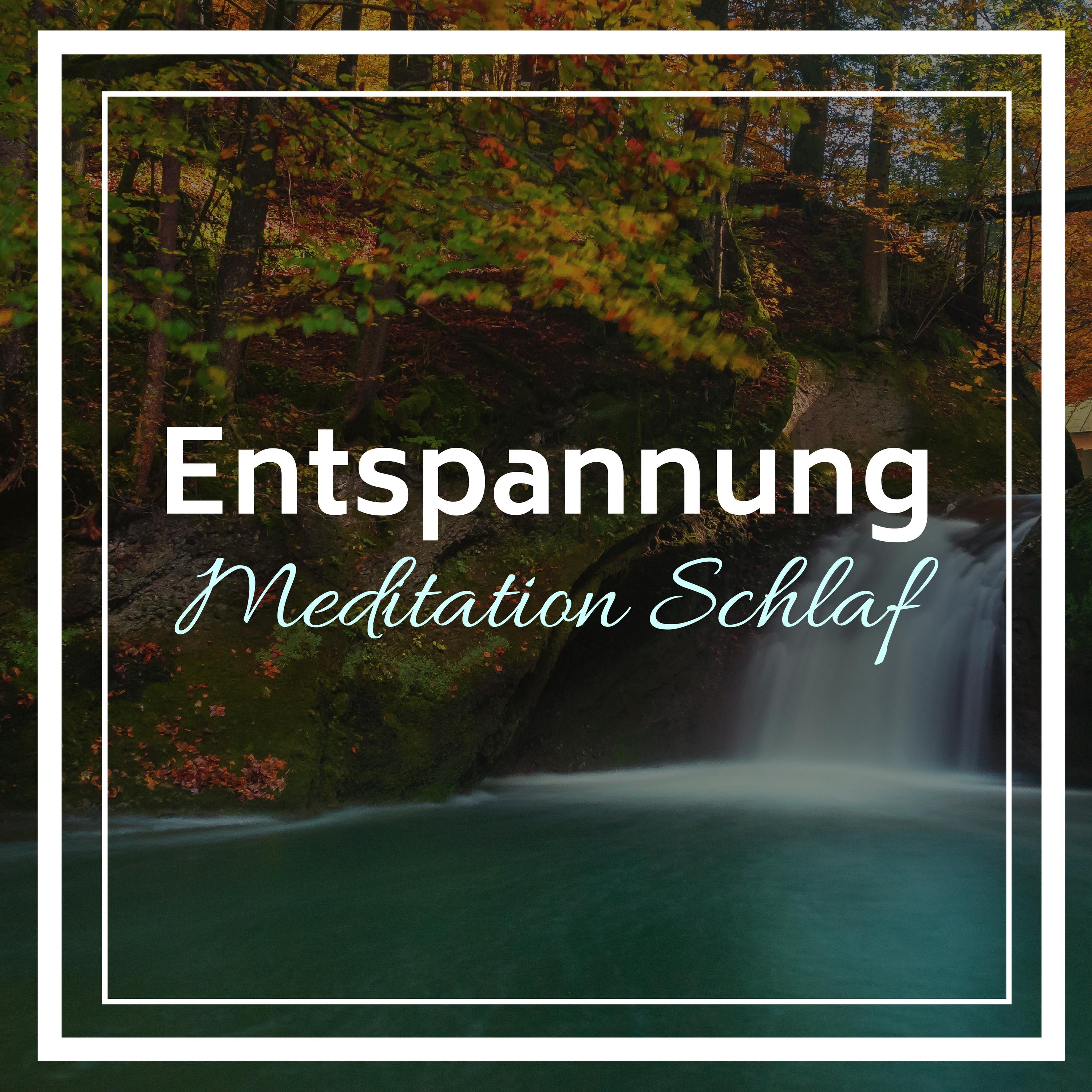 Entspannung Meditation Schlaf - Entspannungsmusik Harfe mit Wald und Wasser