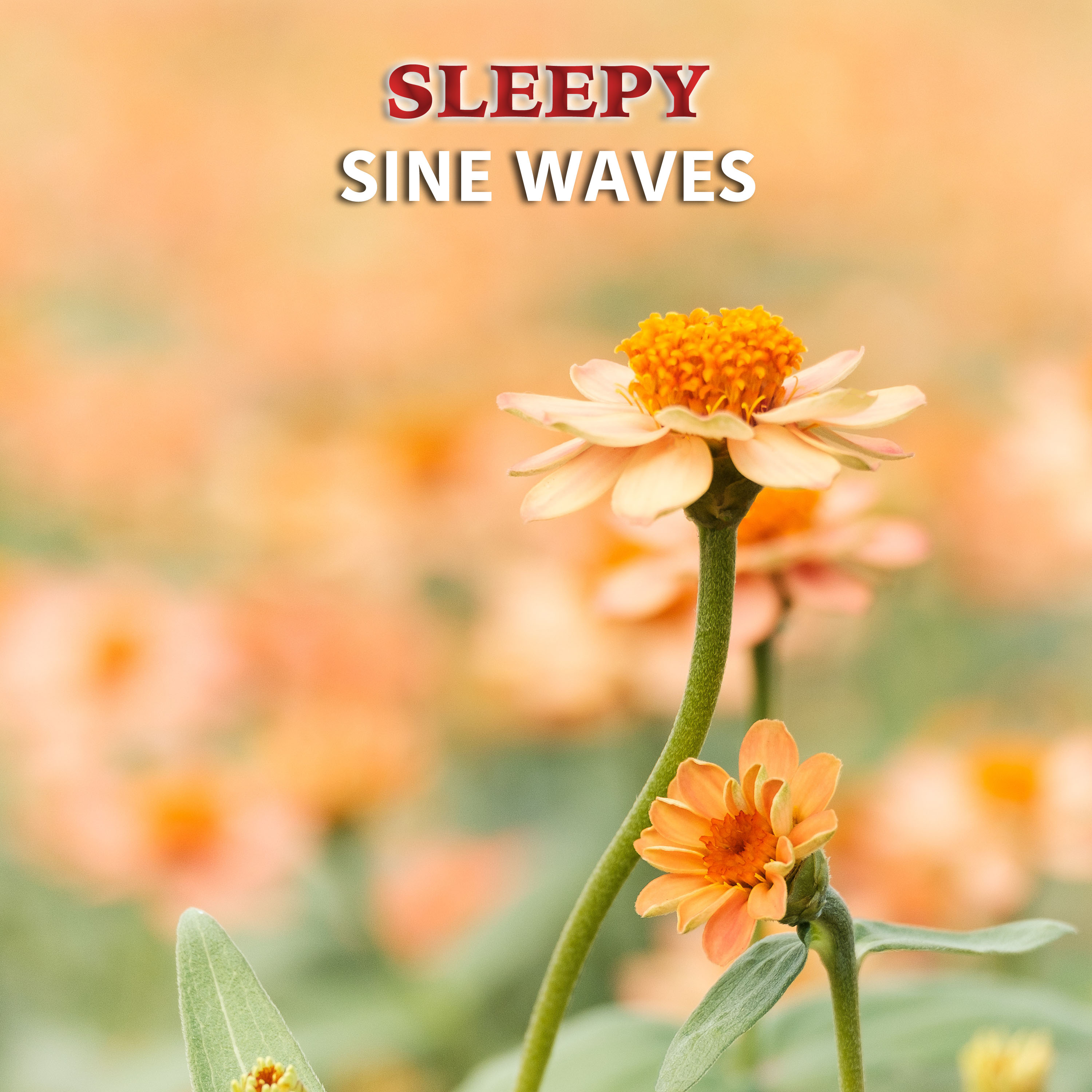 #13 Sleepy Sine Waves