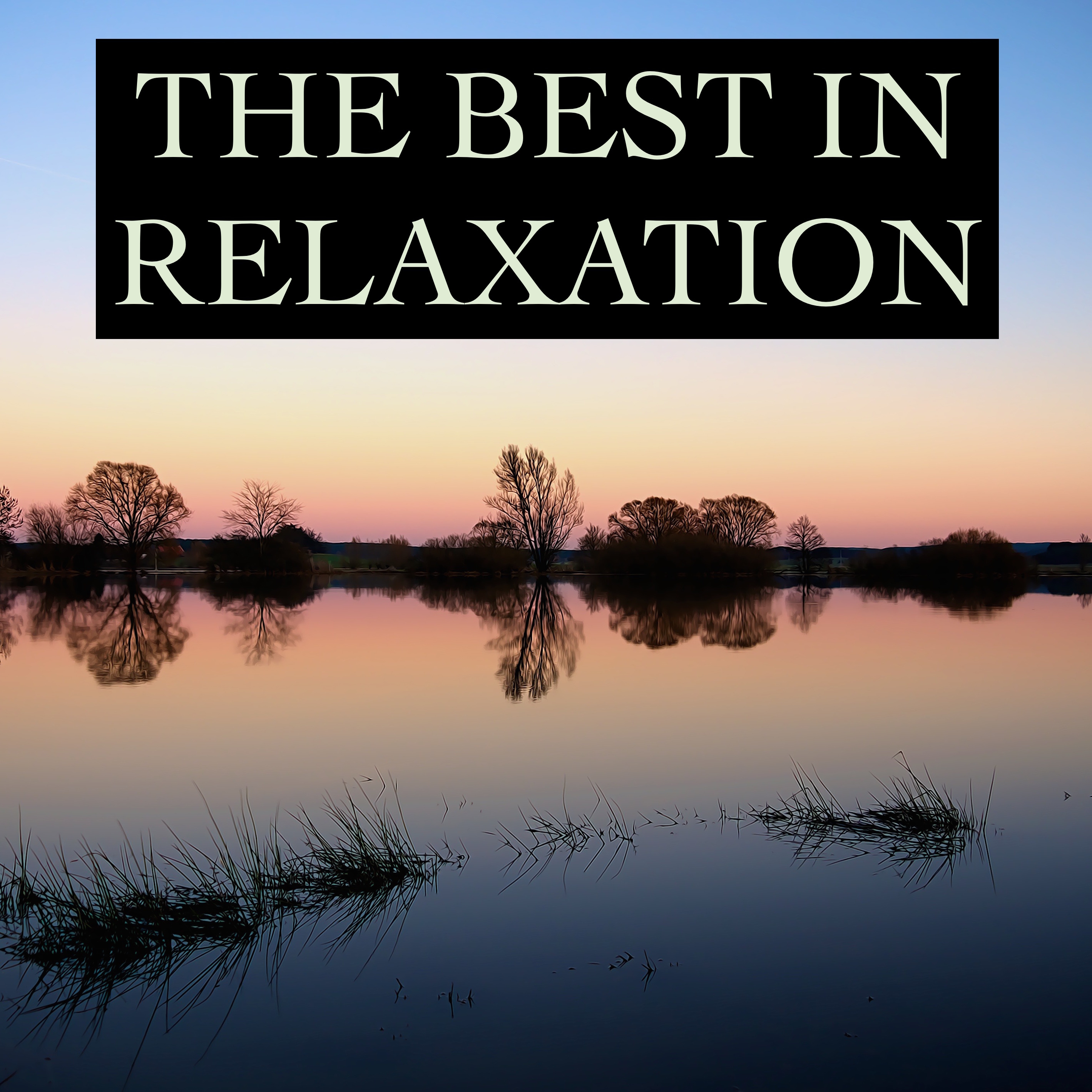 The Best in Relaxation - Timeless Nature & Water Melodies for Ultimate Stress Relief, Mindfulness, Deep Sleep, Study Concentration, Yoga, Meditation Focus and Better Mental Health