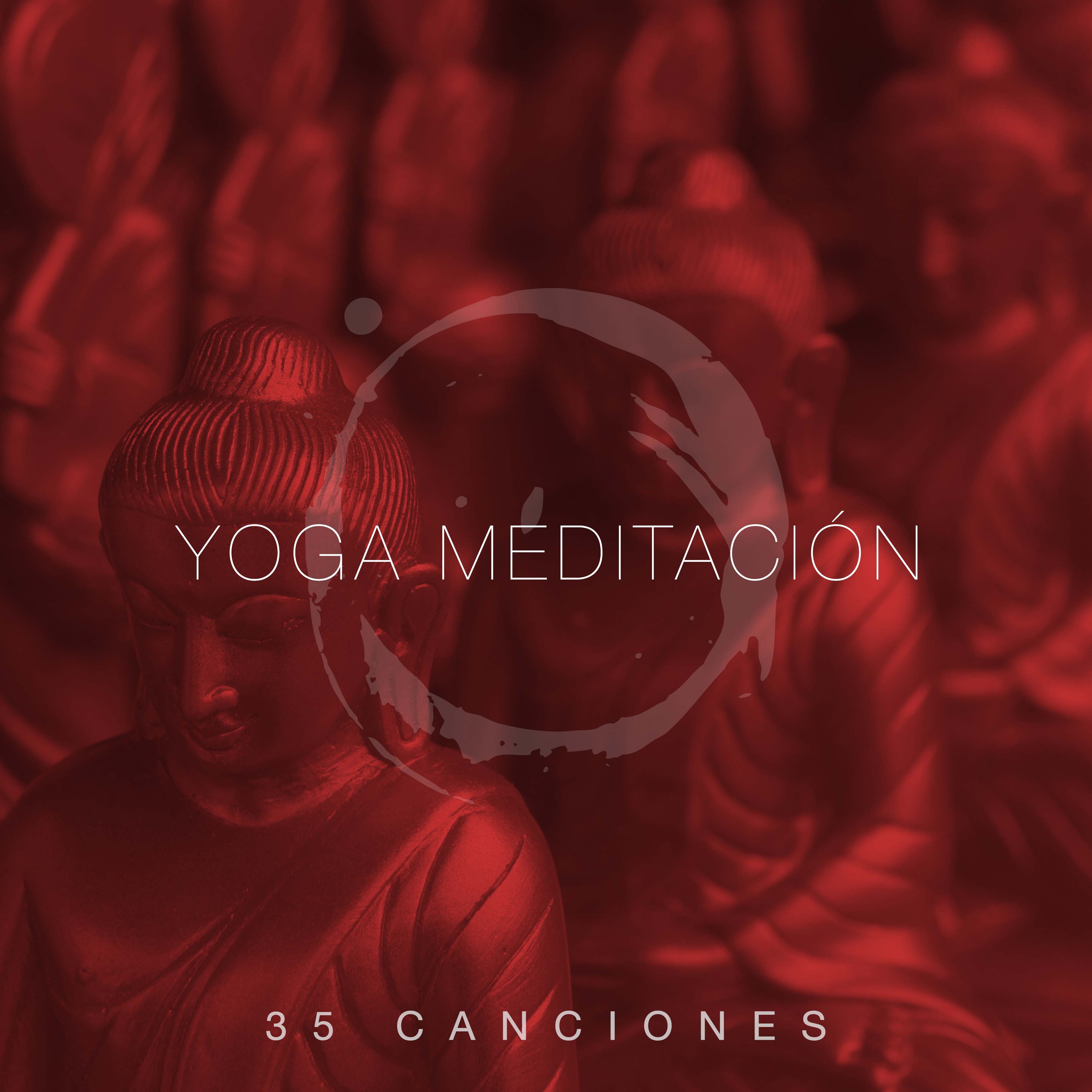Yoga Meditación 35 Canciones - La Mejor Música Relajante Con Sonidos De La Naturaleza Para Aliviar El Estrés, La Terapia De Masaje Zen