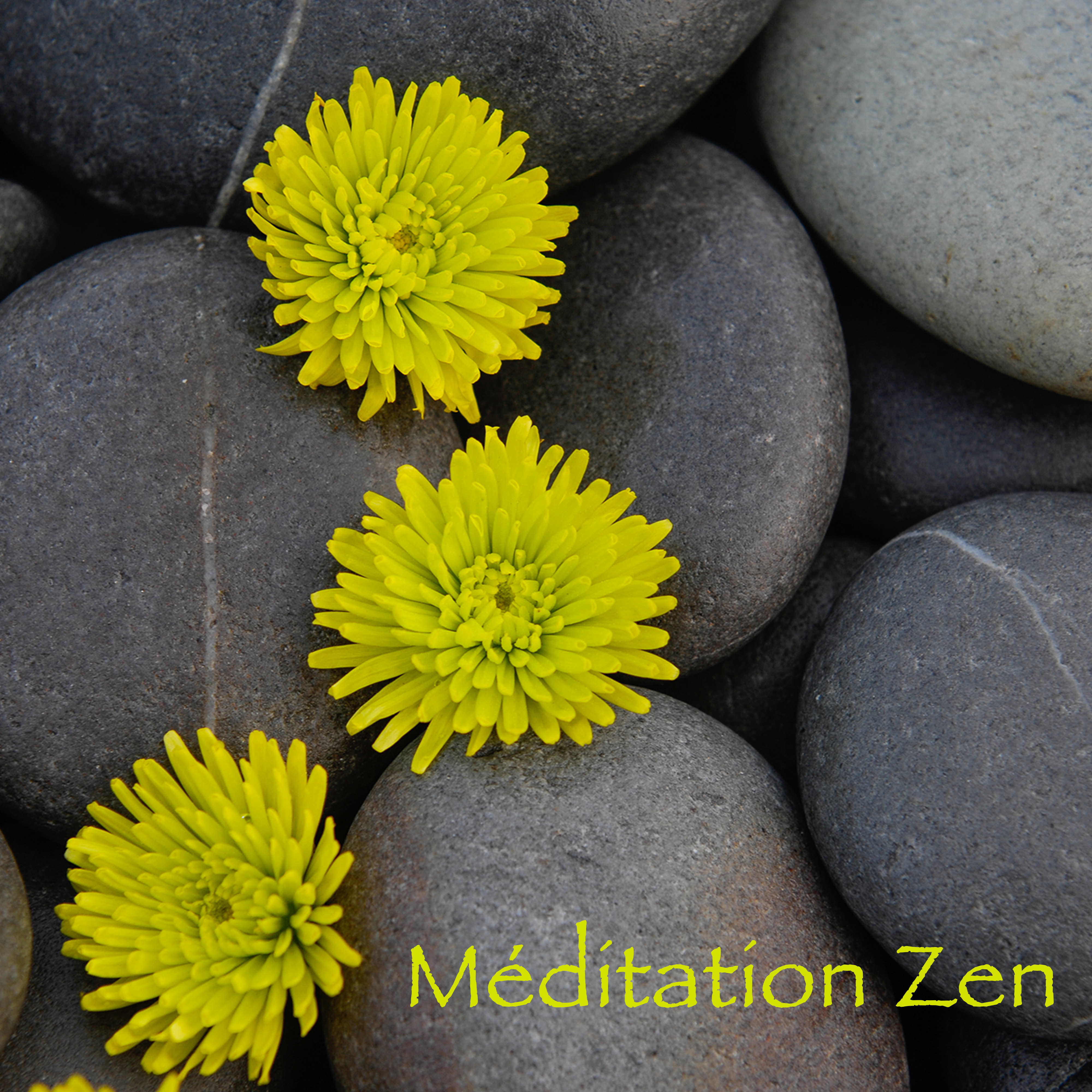 Méditation Zen – Musique douce de détente et méditation, bien-être et sophrologie, raja yoga et relaxation