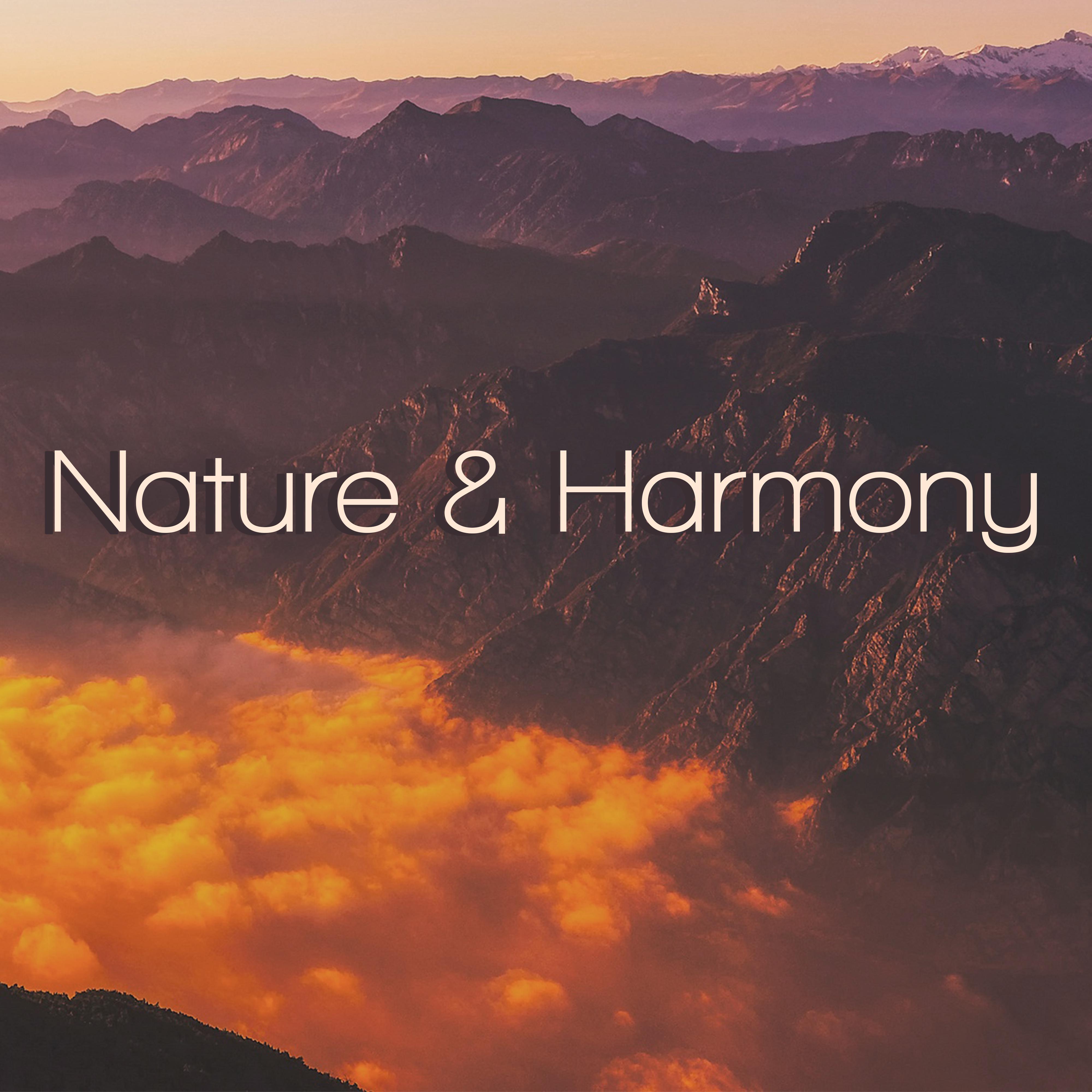 Nature & Harmony – Calmness, New Age Music, Peaceful Mind, Calming Music, Nature Sounds, Zen, Meditation