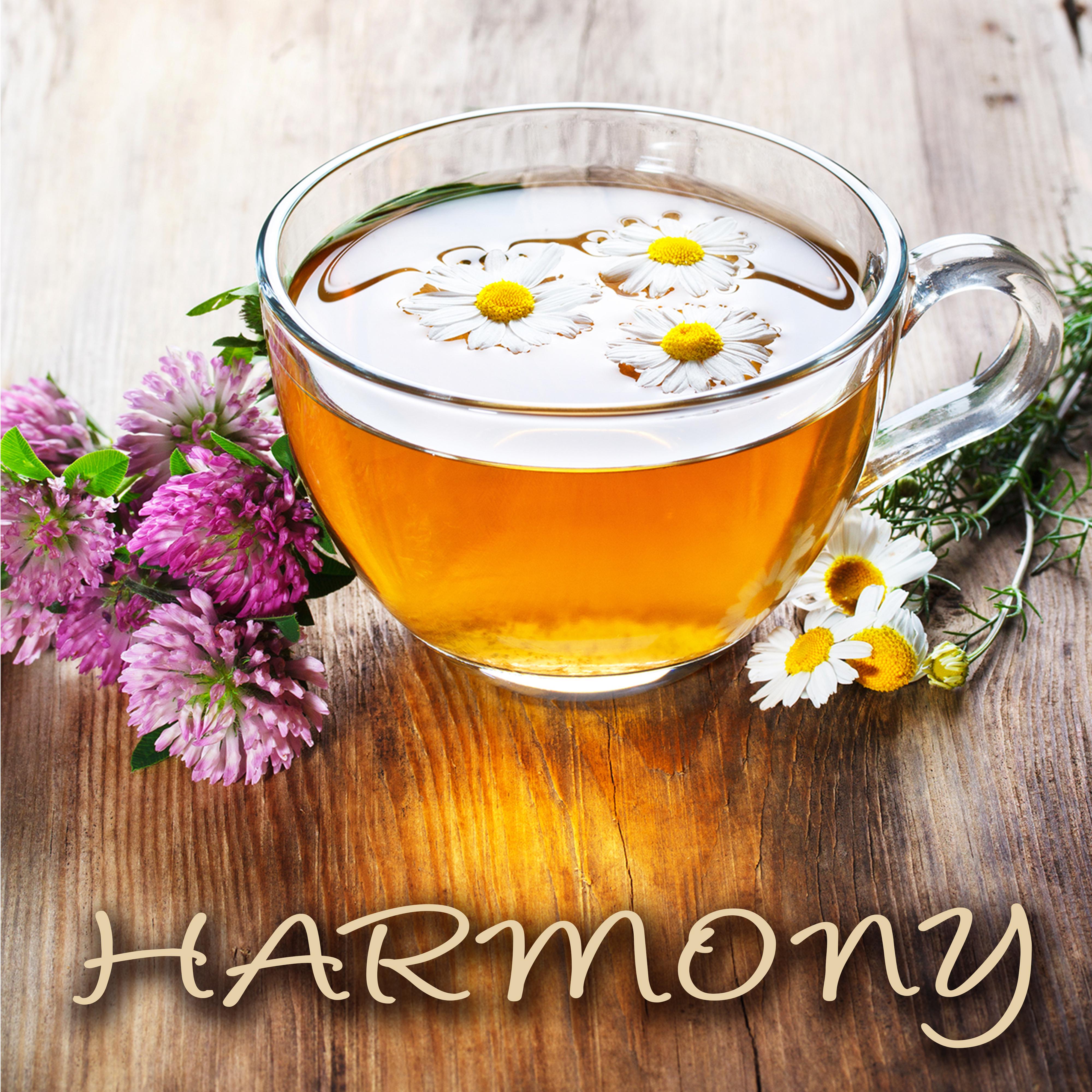 Harmony – Calming and Relaxing Songs for Mindfulness Meditation & Deeper Sleep