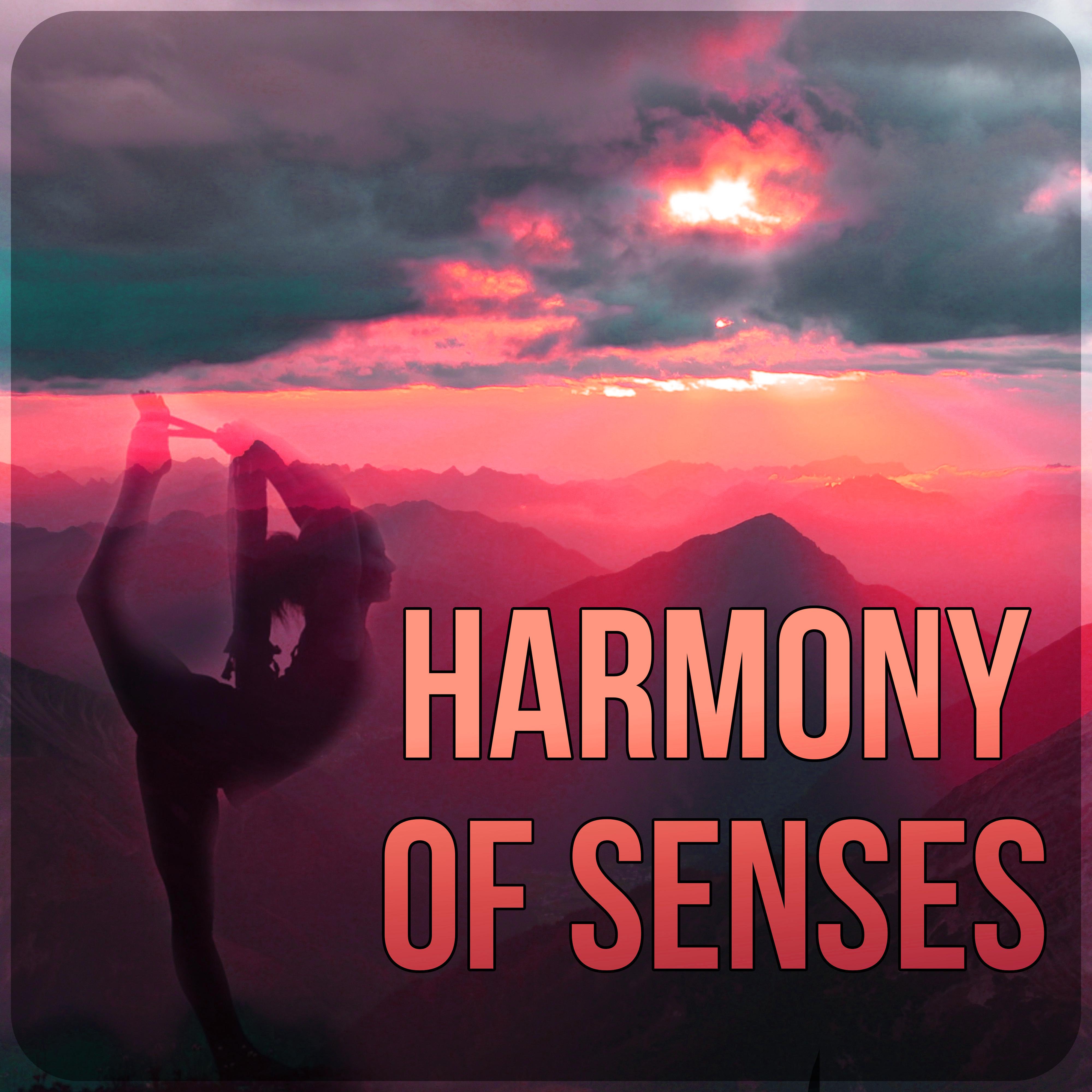 Harmony of Senses – Mindfulness Meditation, Zen Music, Reiki Healing, Mantras, Harmony & Serenity, Calming Sounds for Peace of Mind, Yoga Music