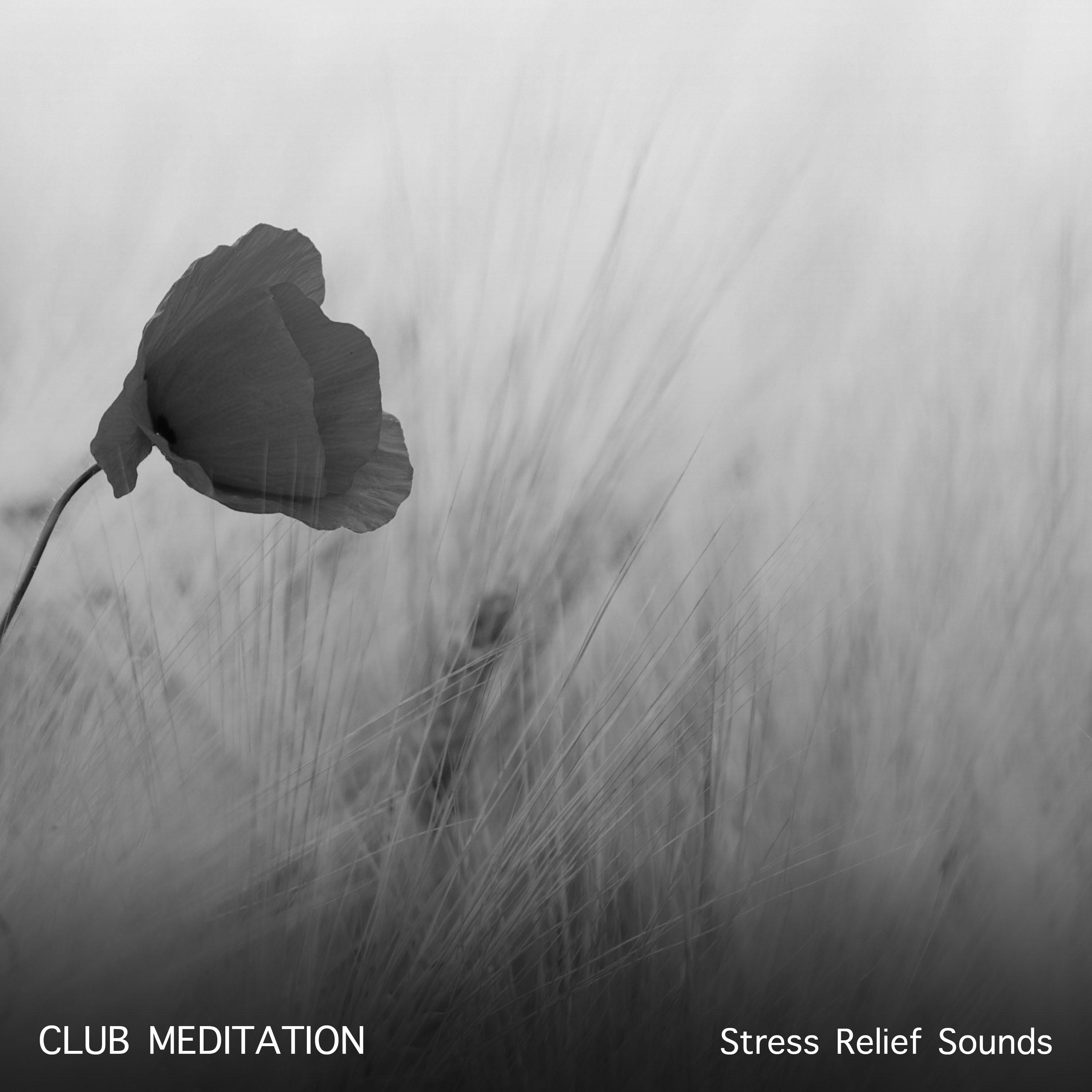 16 Stress Relief Sounds: Club Meditation