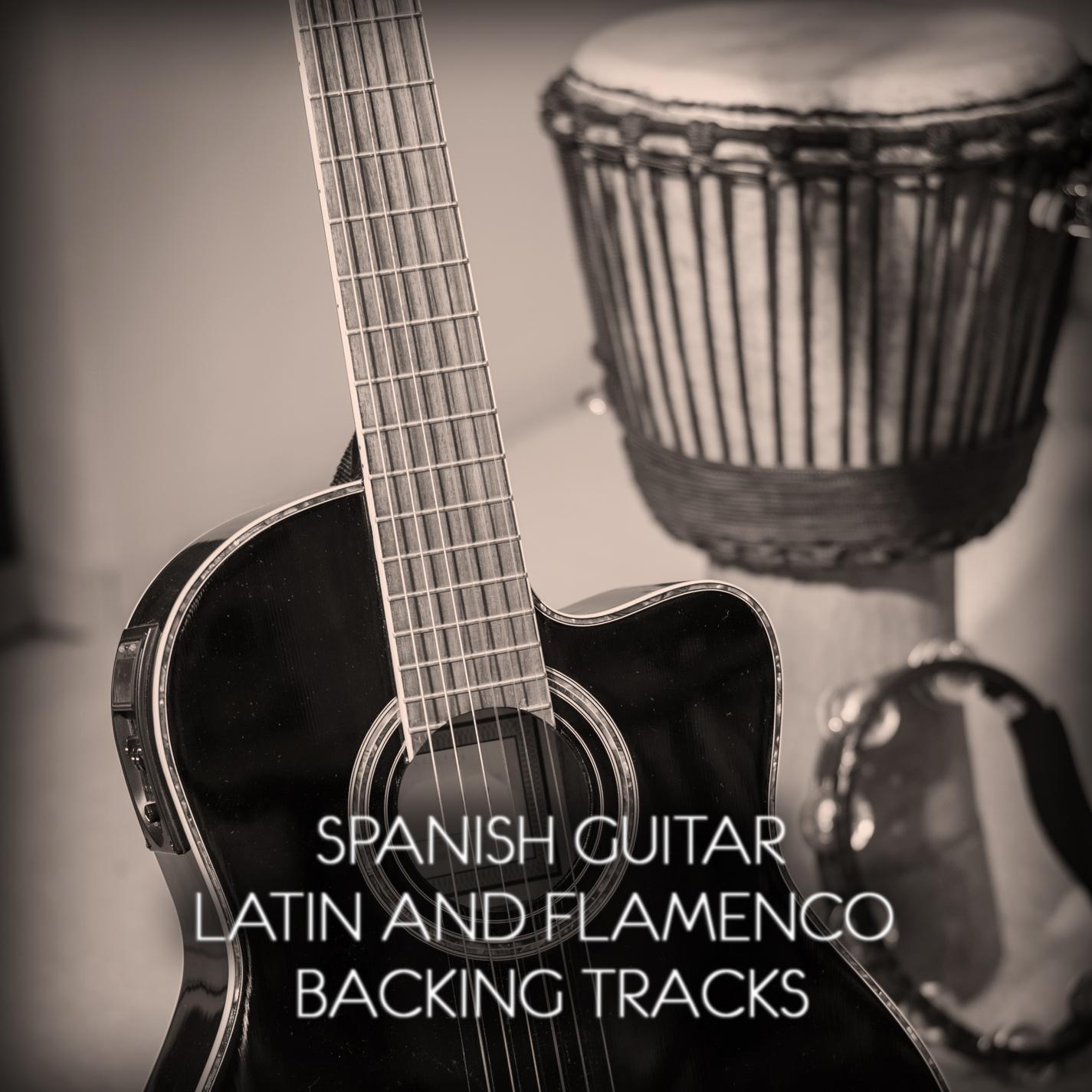 Latin Spanish Guitar Bossa Backing Track E Minor G Major