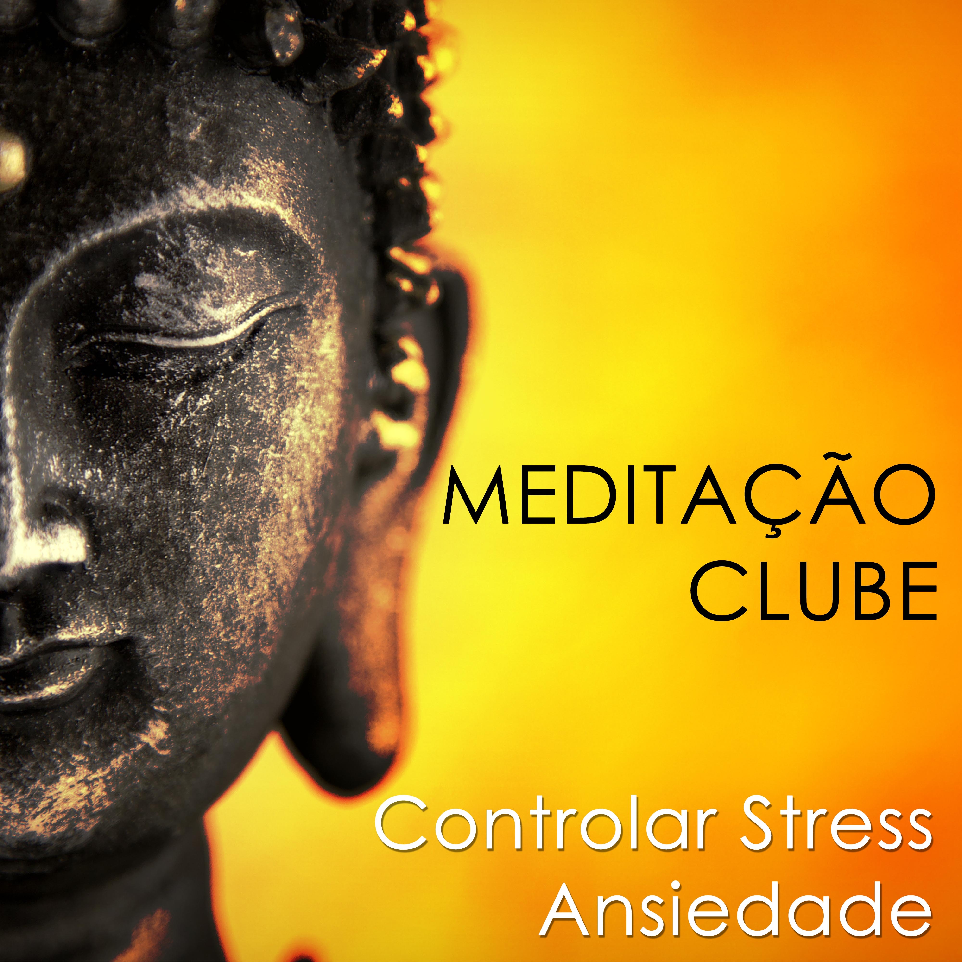 Meditação Clube: O Clube Relaxante, onde você pode Relaxar, Acalmar a Mente e Eliminar, Controlar o Stress o Ansiedade da sua Vida após um Dia Estressante