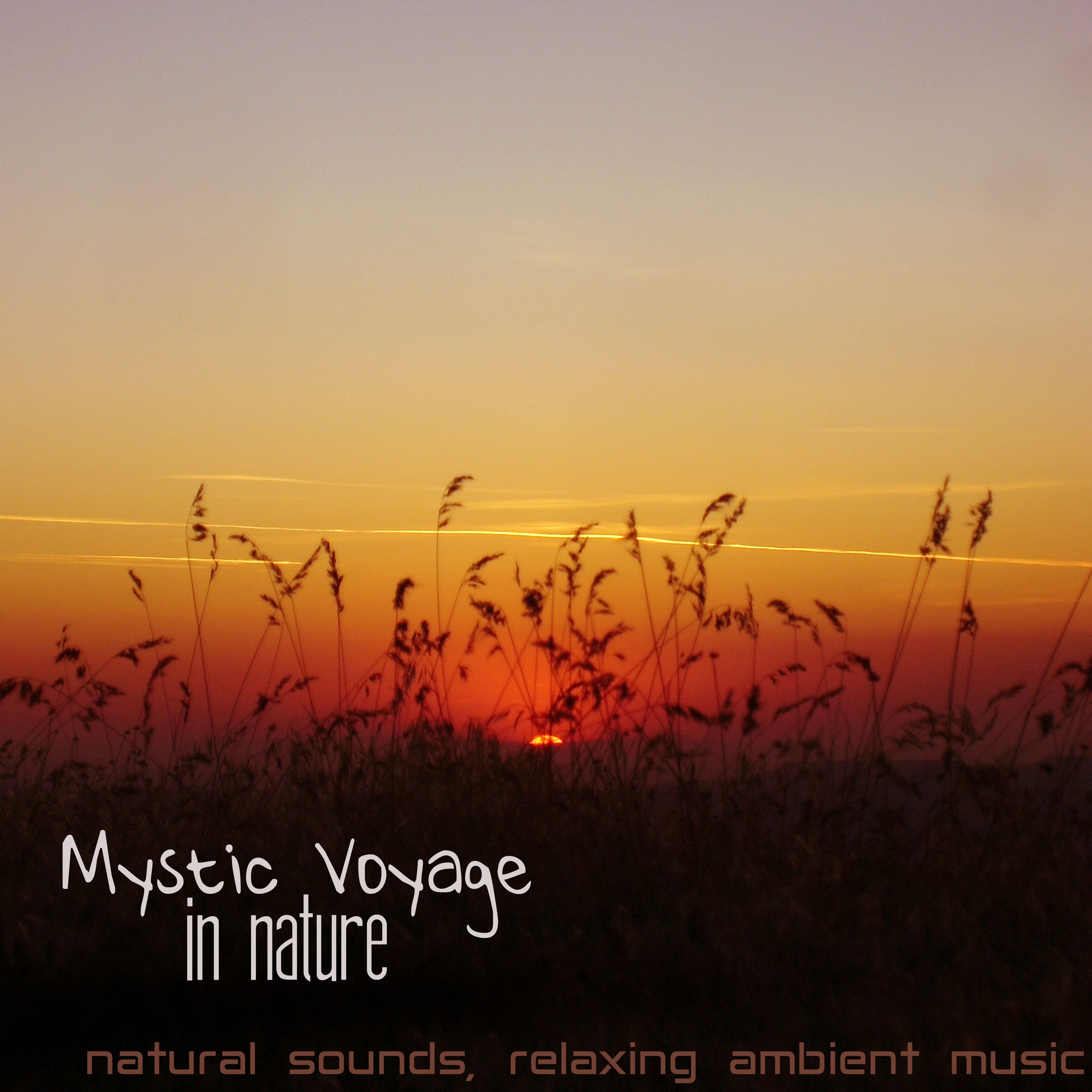 Mystic Voyage in Nature - Natural Sounds, Relaxing Ambient Music for Visualization Meditation