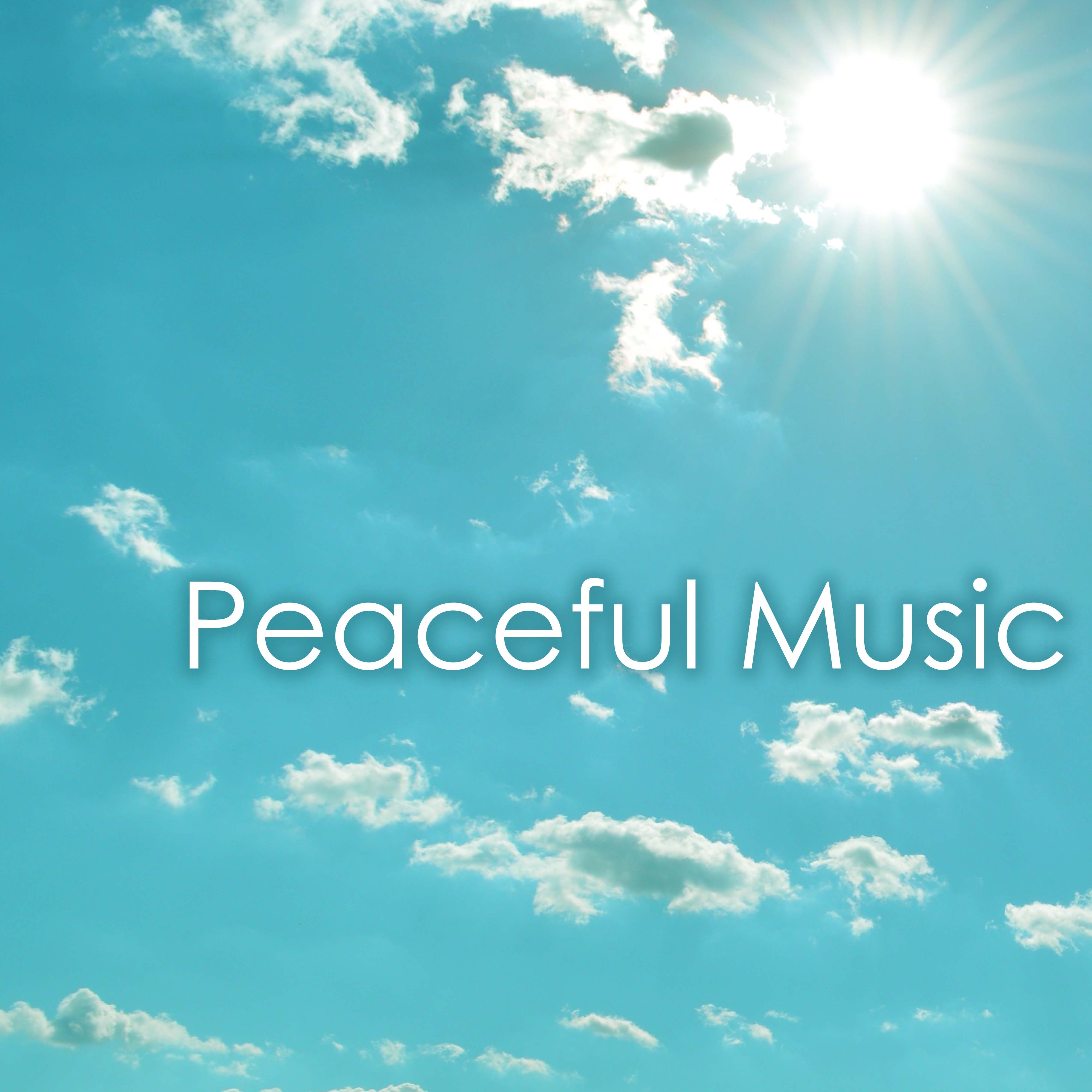 Peaceful Music with Sounds of Nature for Mindfulness Meditations