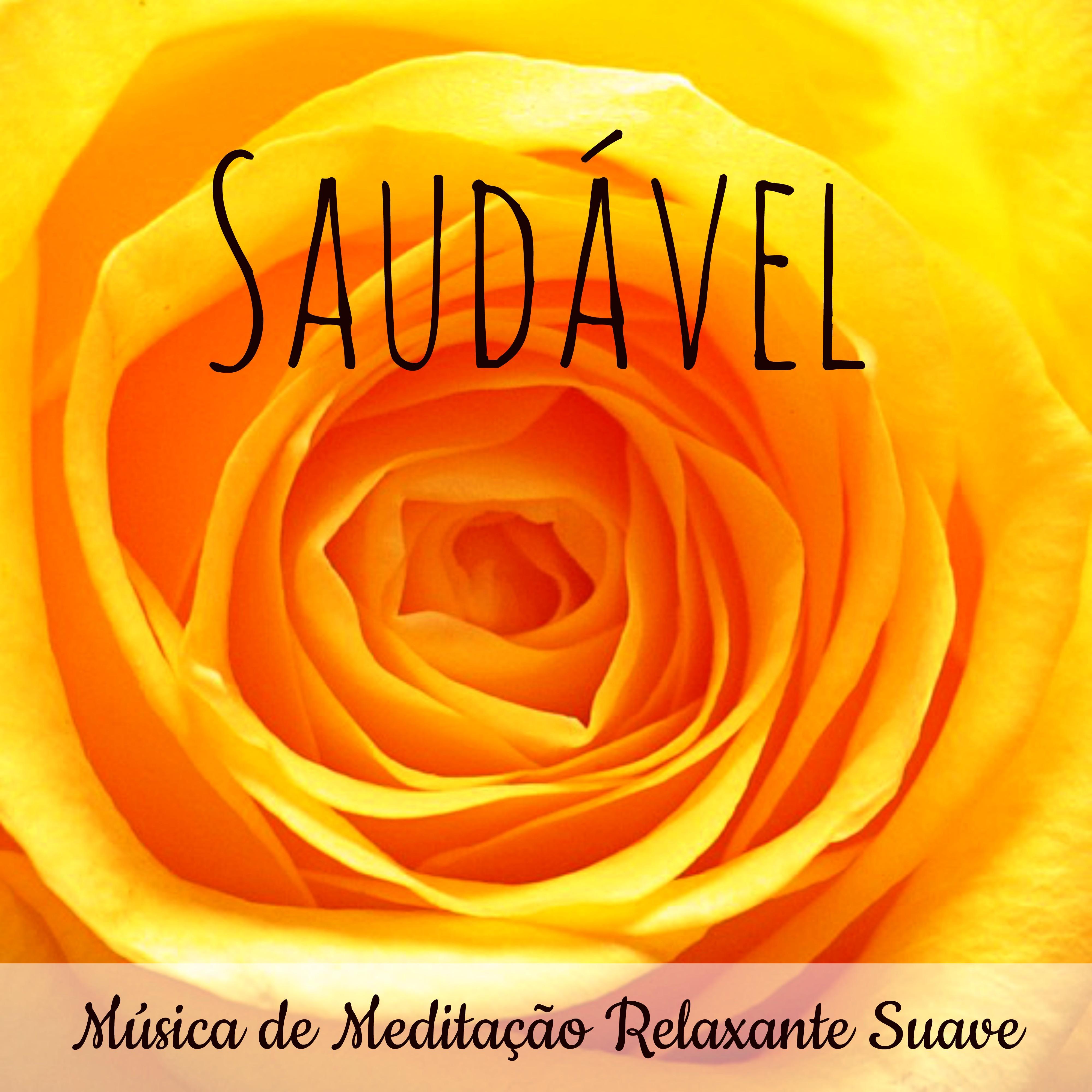 Saudável - Música de Meditação Relaxante Suave para Ajuda Espiritual Alinhamento dos Chakras Bem Estar com Sons Instrumentais New Age Naturais