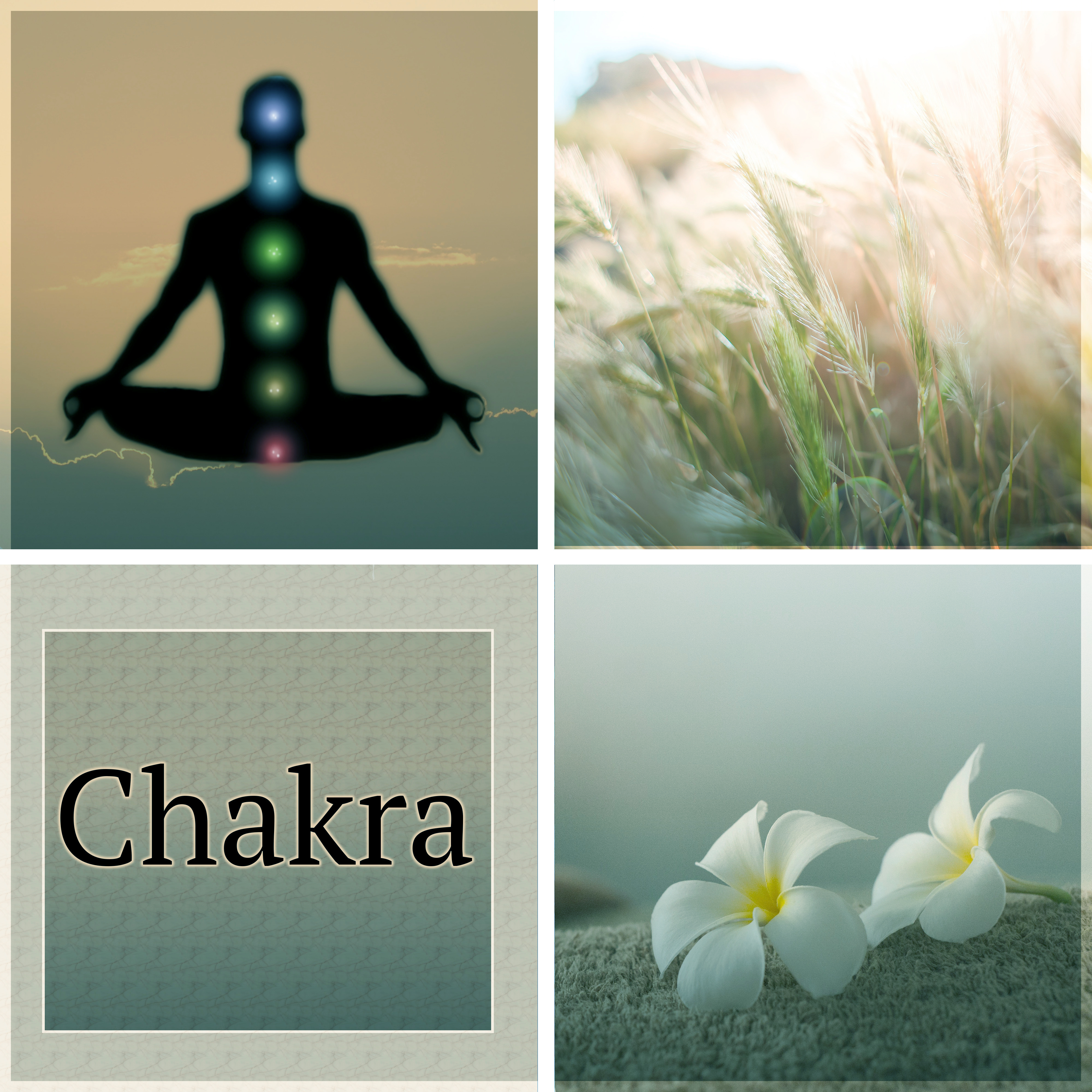 Chakra - Basic Transcendental Meditation for Beginners with Nature Sounds, Ocean Sounds