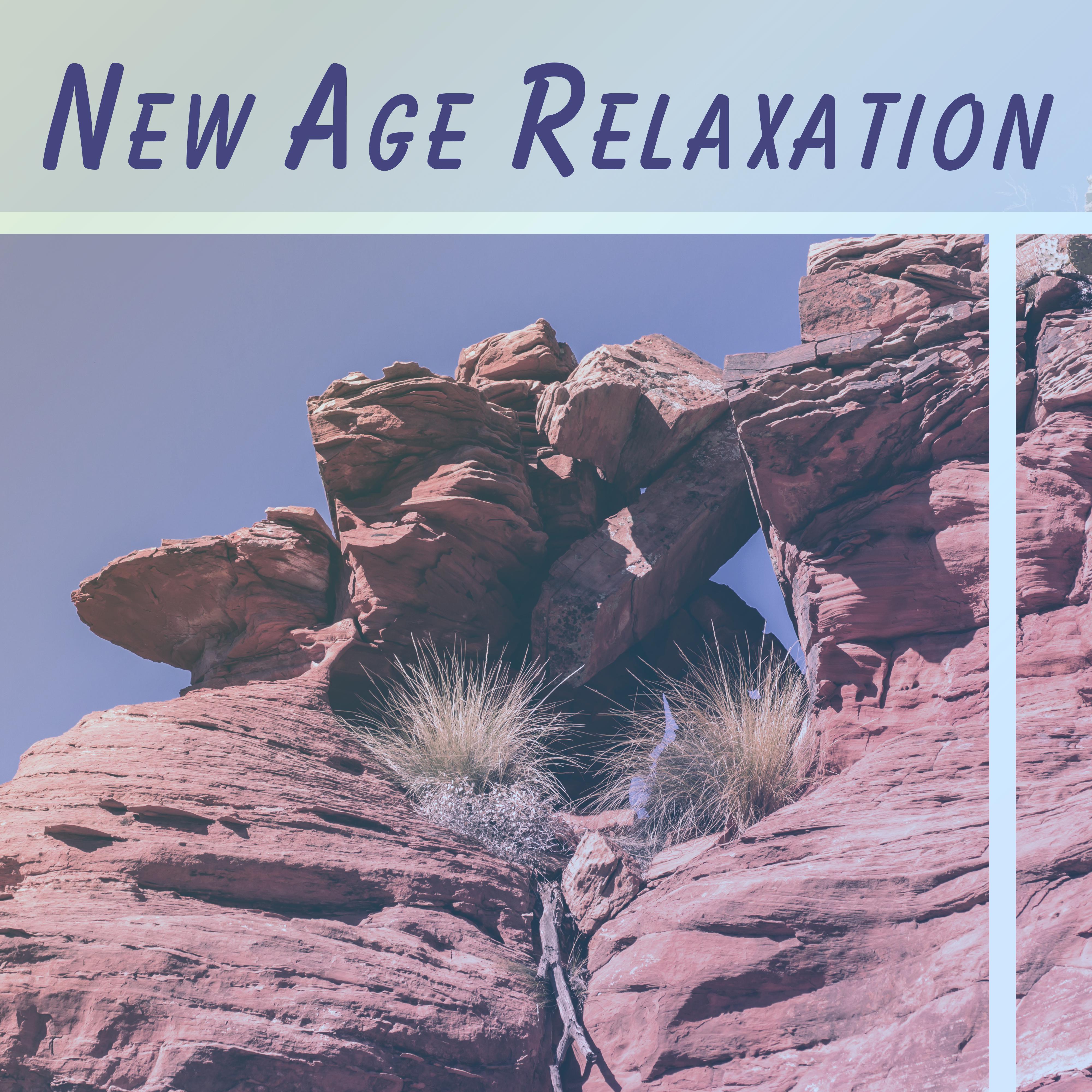 New Age Relaxation – Nature Sounds to Rest, Stress Relief, Forest Music, Sounds of Birds, Peaceful Music for Relax, Deep Sleep