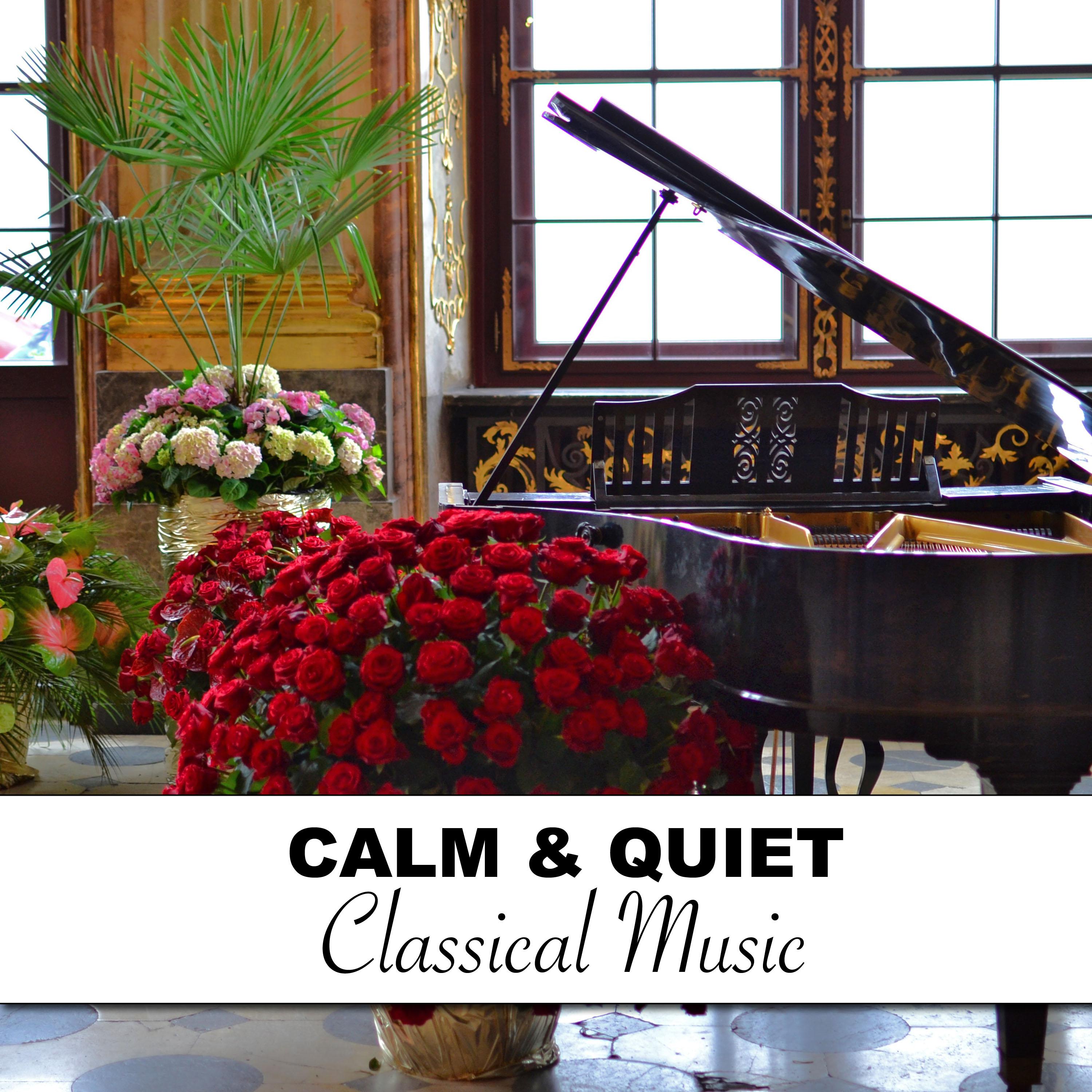 #16 Calm & Quiet Classical Music