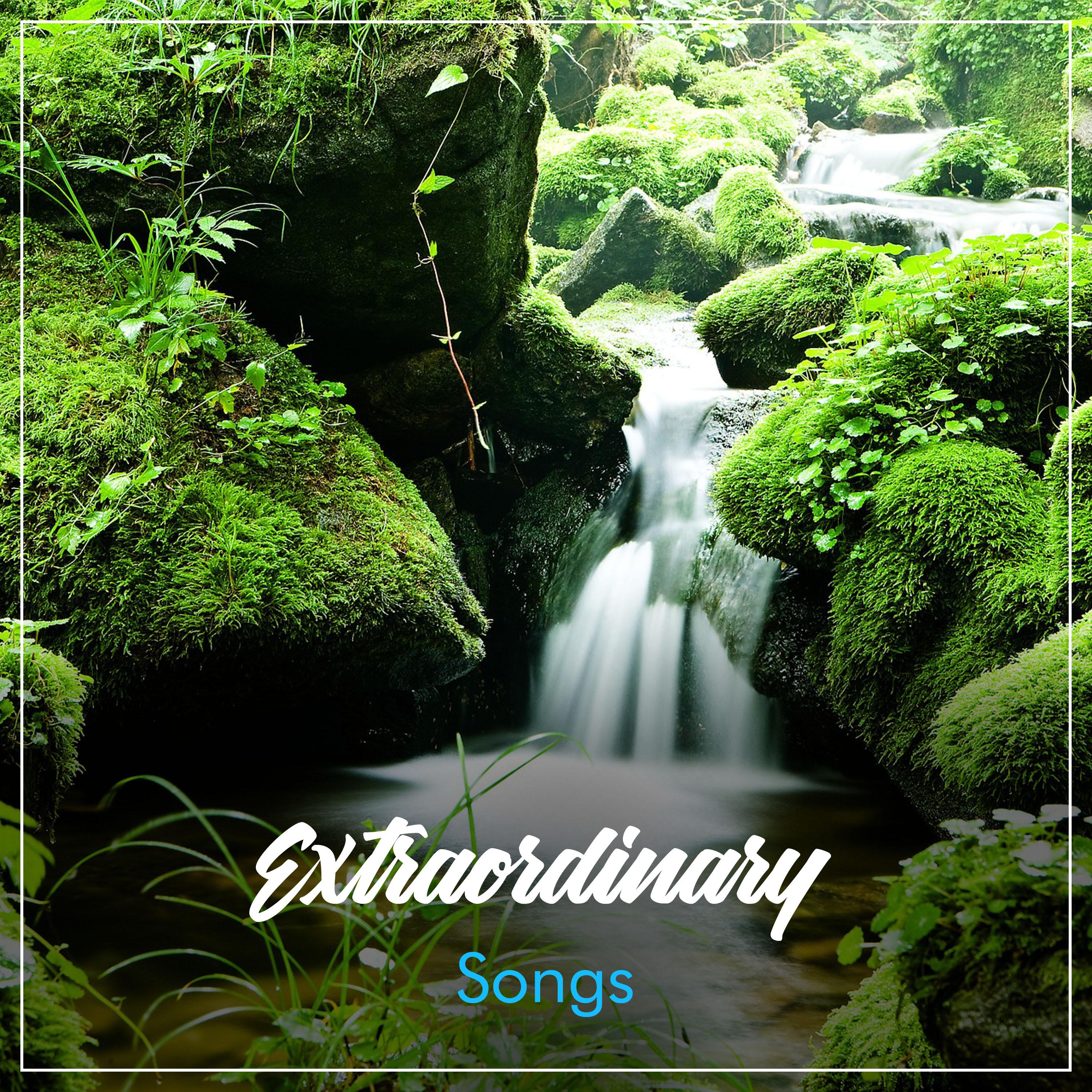 #19 Extraordinary Songs for Soothing Meditation