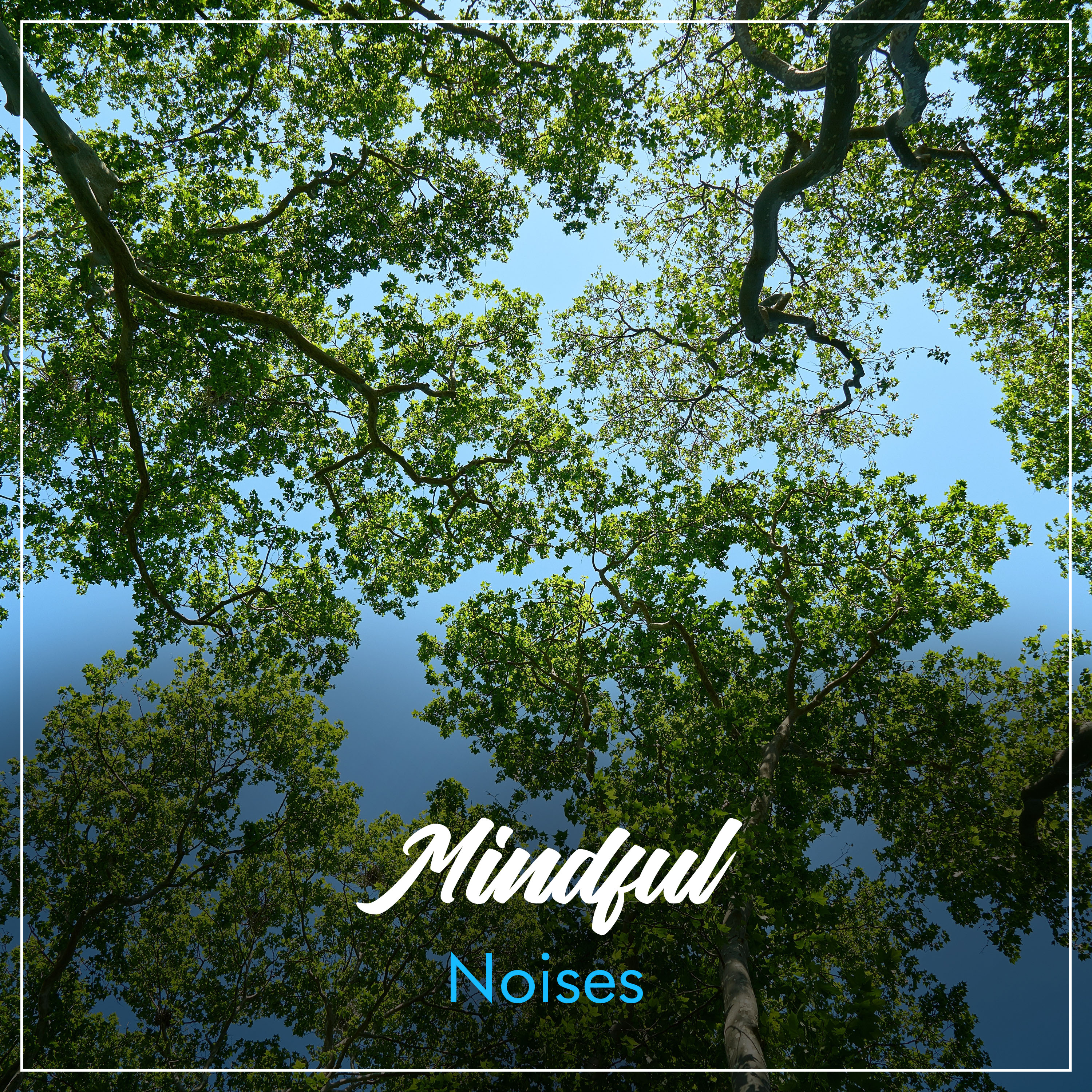 #2019 Mindful Noises for Relaxation & Mindfulness