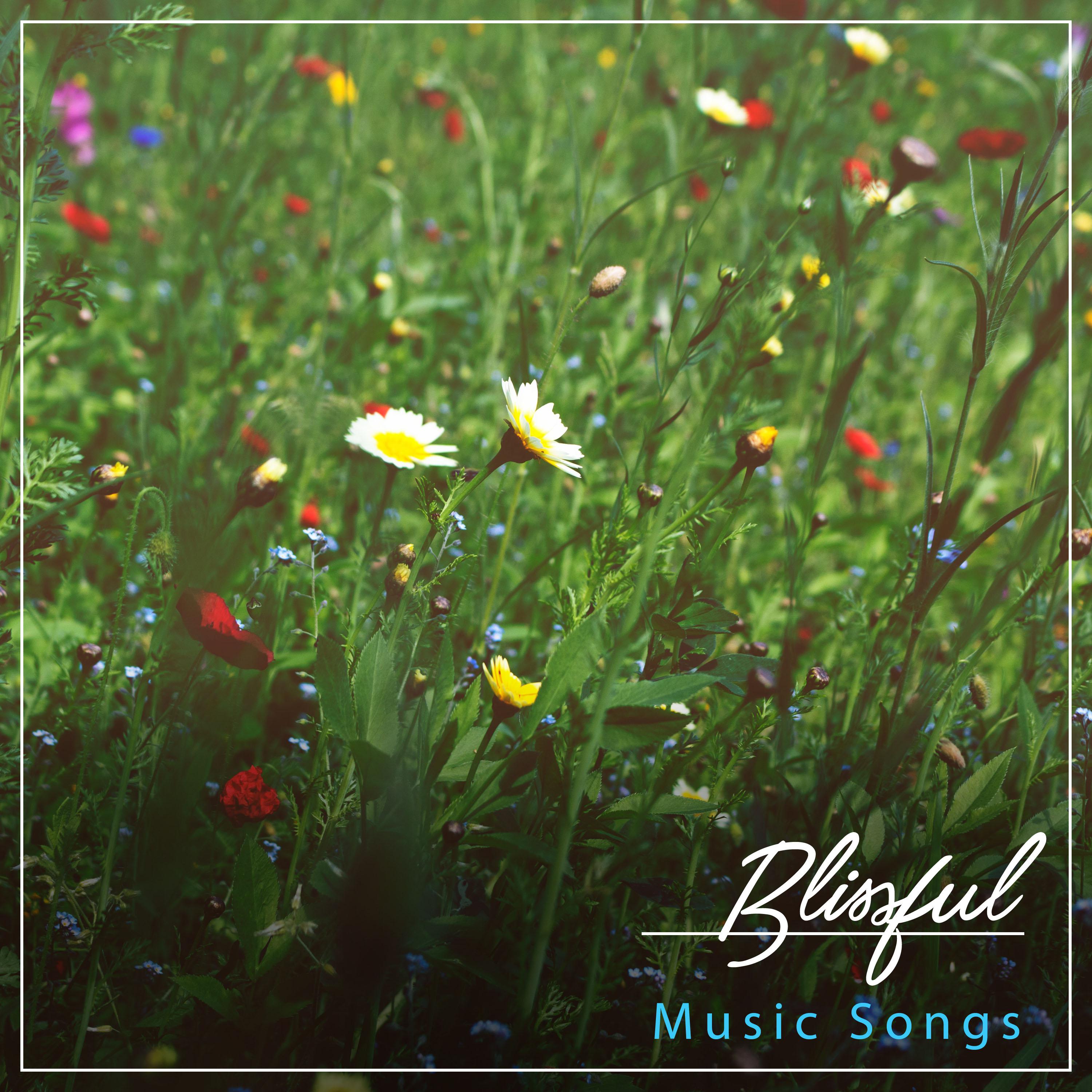 #20 Blissful Music Songs for Soothing Meditation