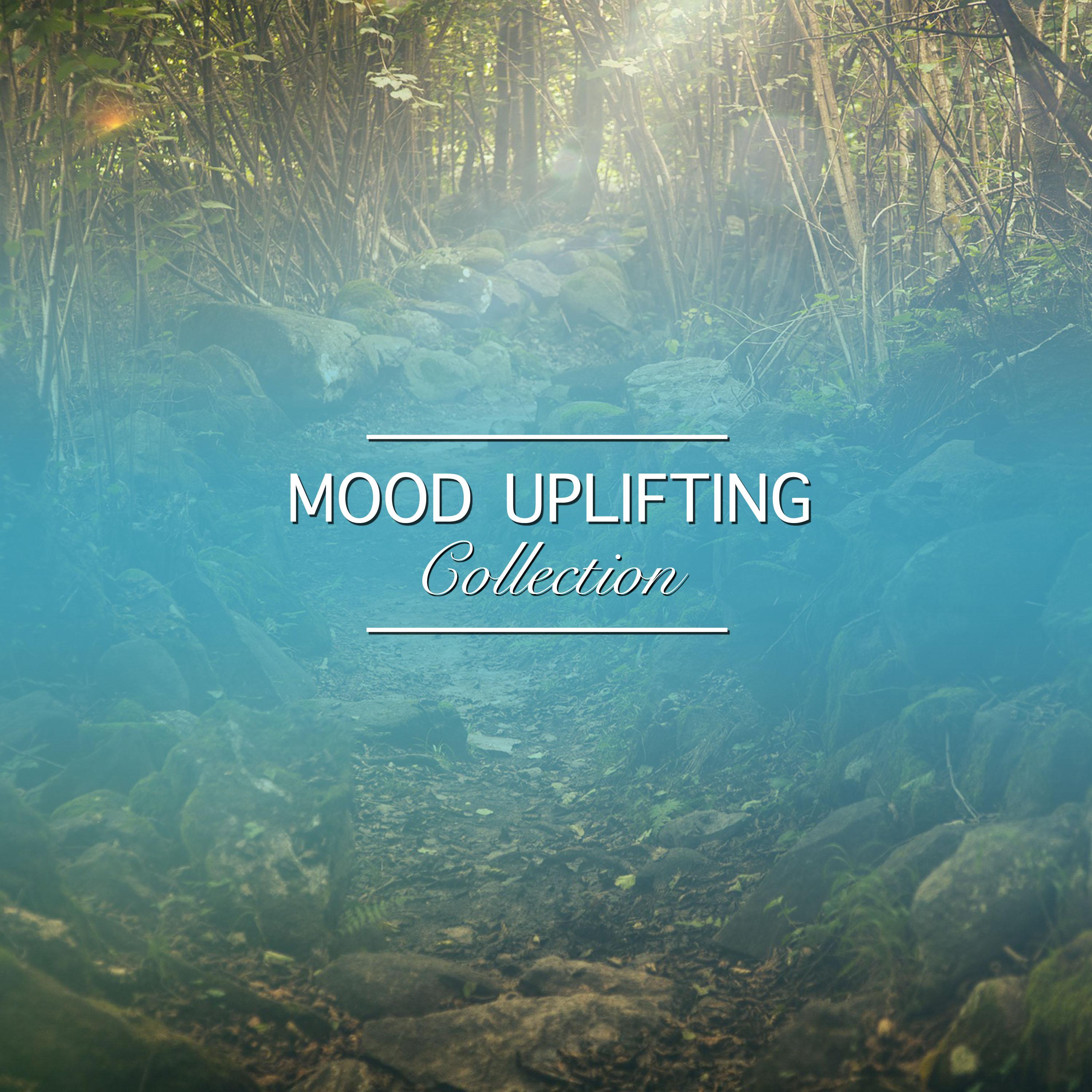 #16 Mood Uplifting Collection for Ultimate Spa Experience