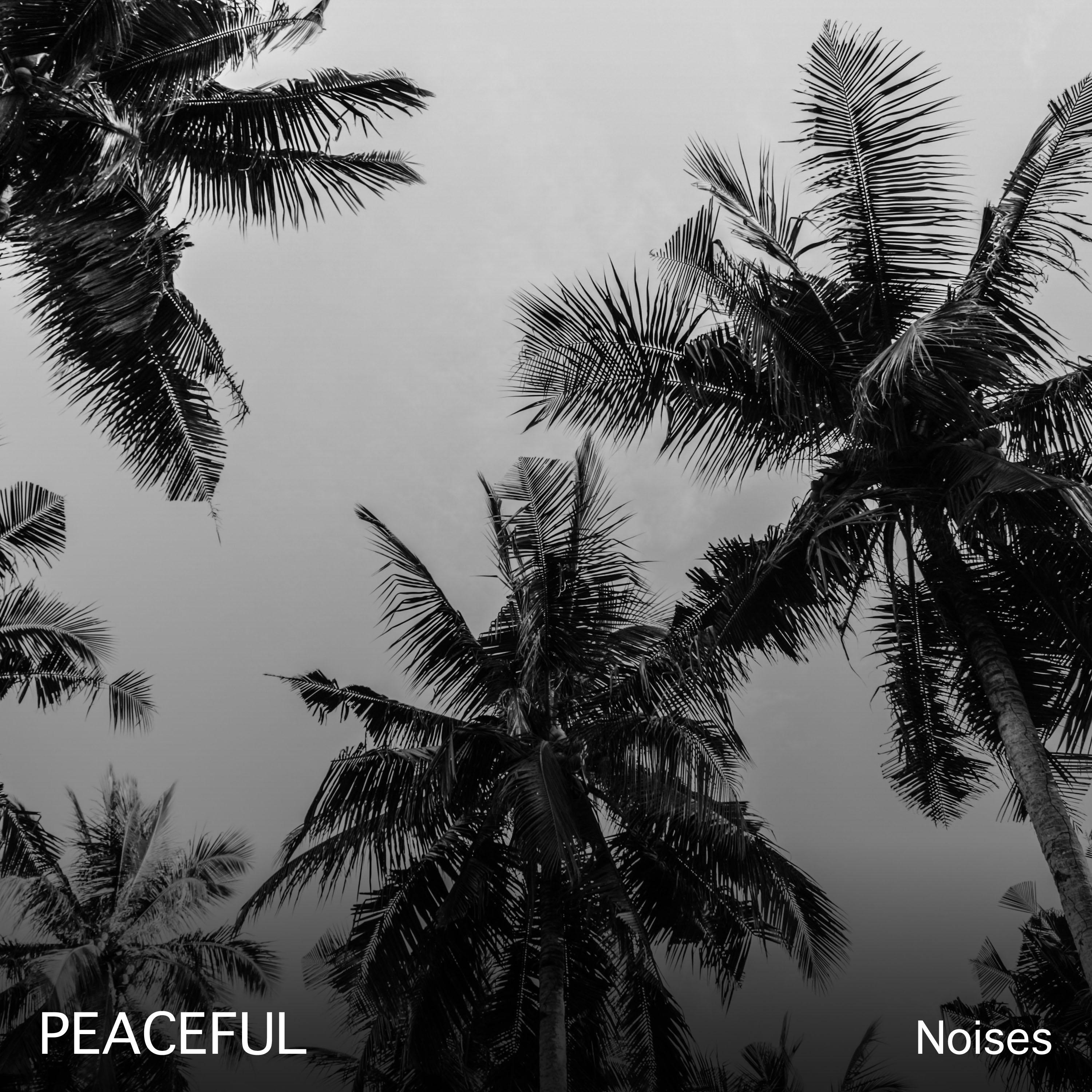 #21 Peaceful Noises for Meditation