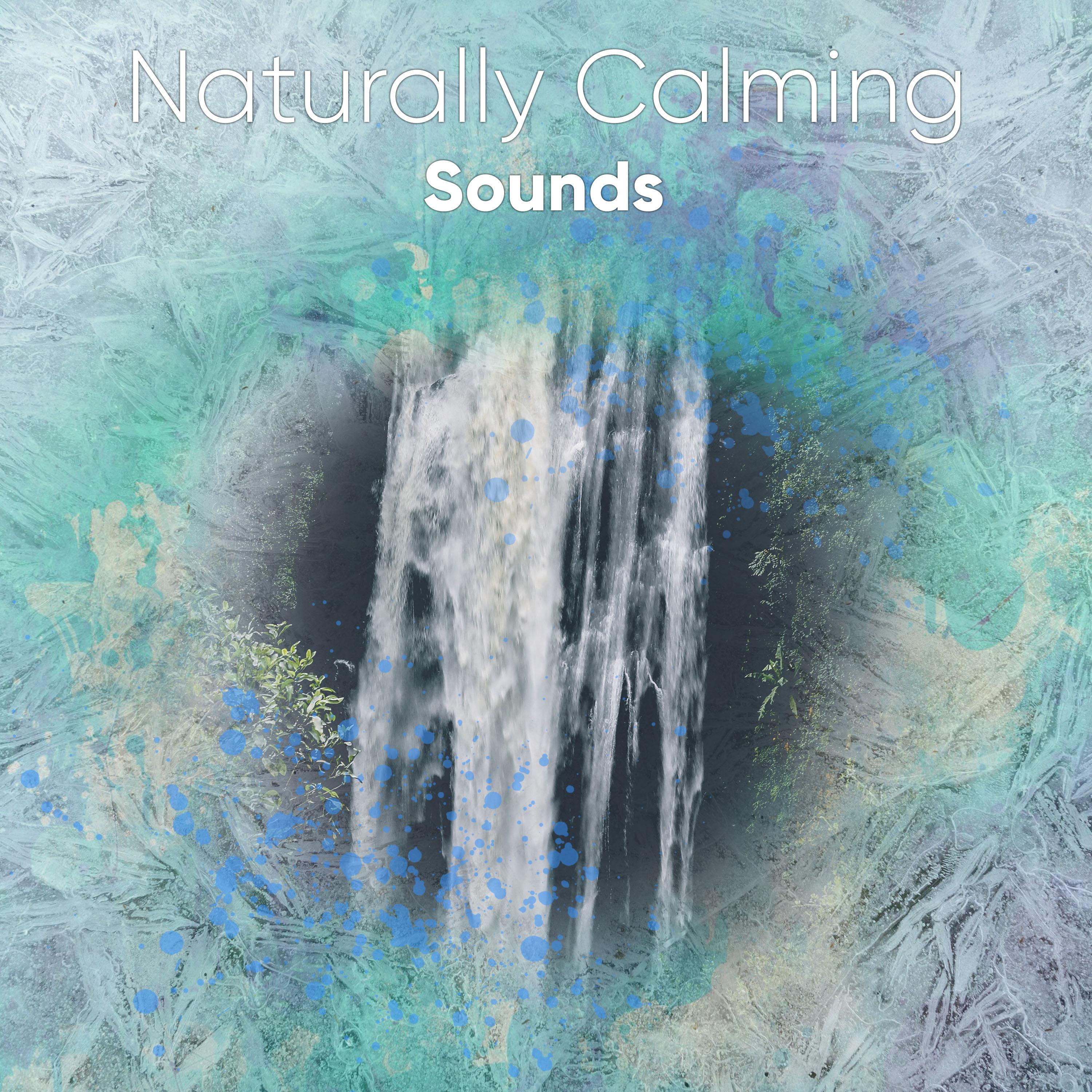 #1 Hour of Naturally Calming Sounds for Yoga