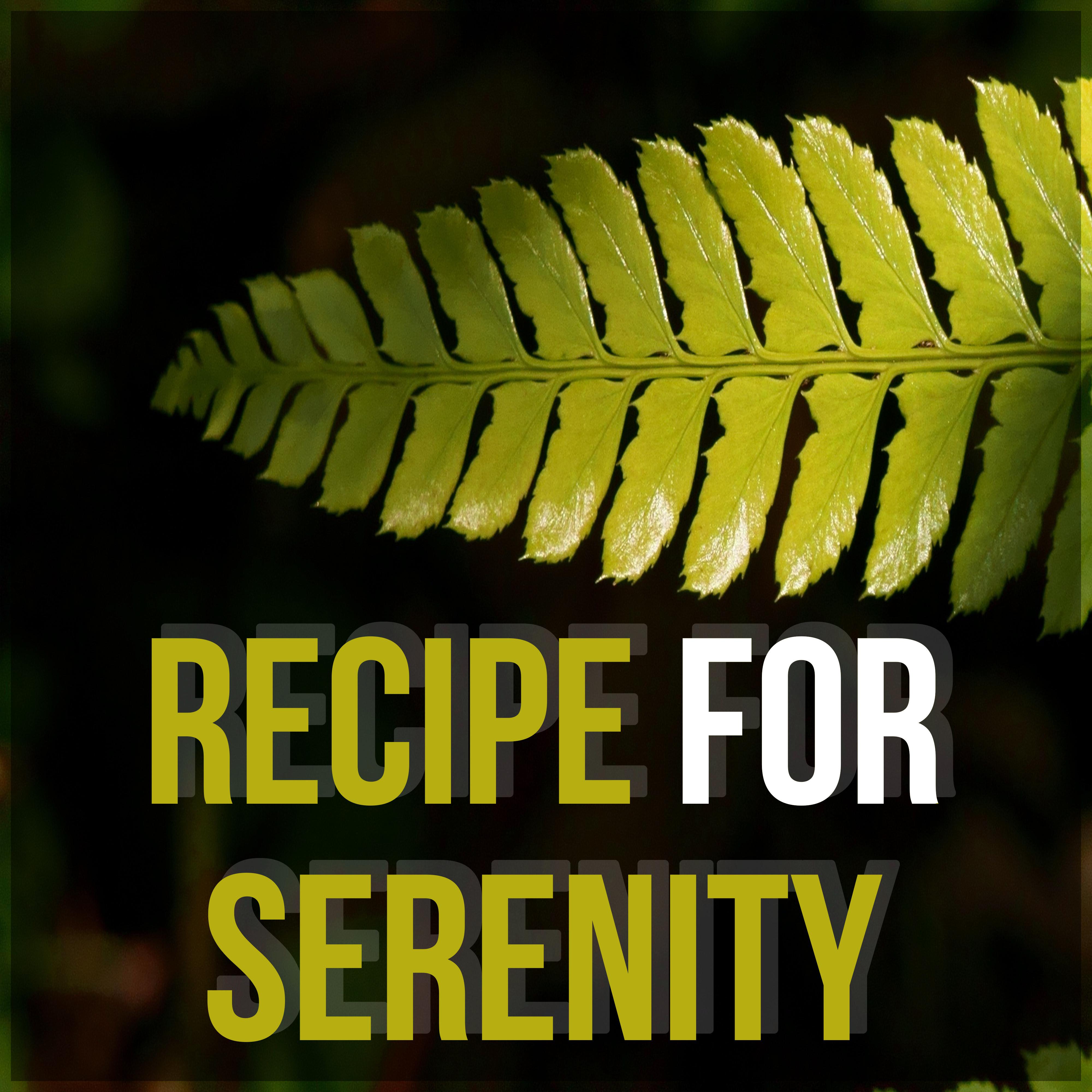 Recipe for Serenity – Tranquility Spa, Calm, Magnetic Moments with Nature Sounds, Om Chanting, Health Care, Relaxing Music for Serenity, Inner Peace