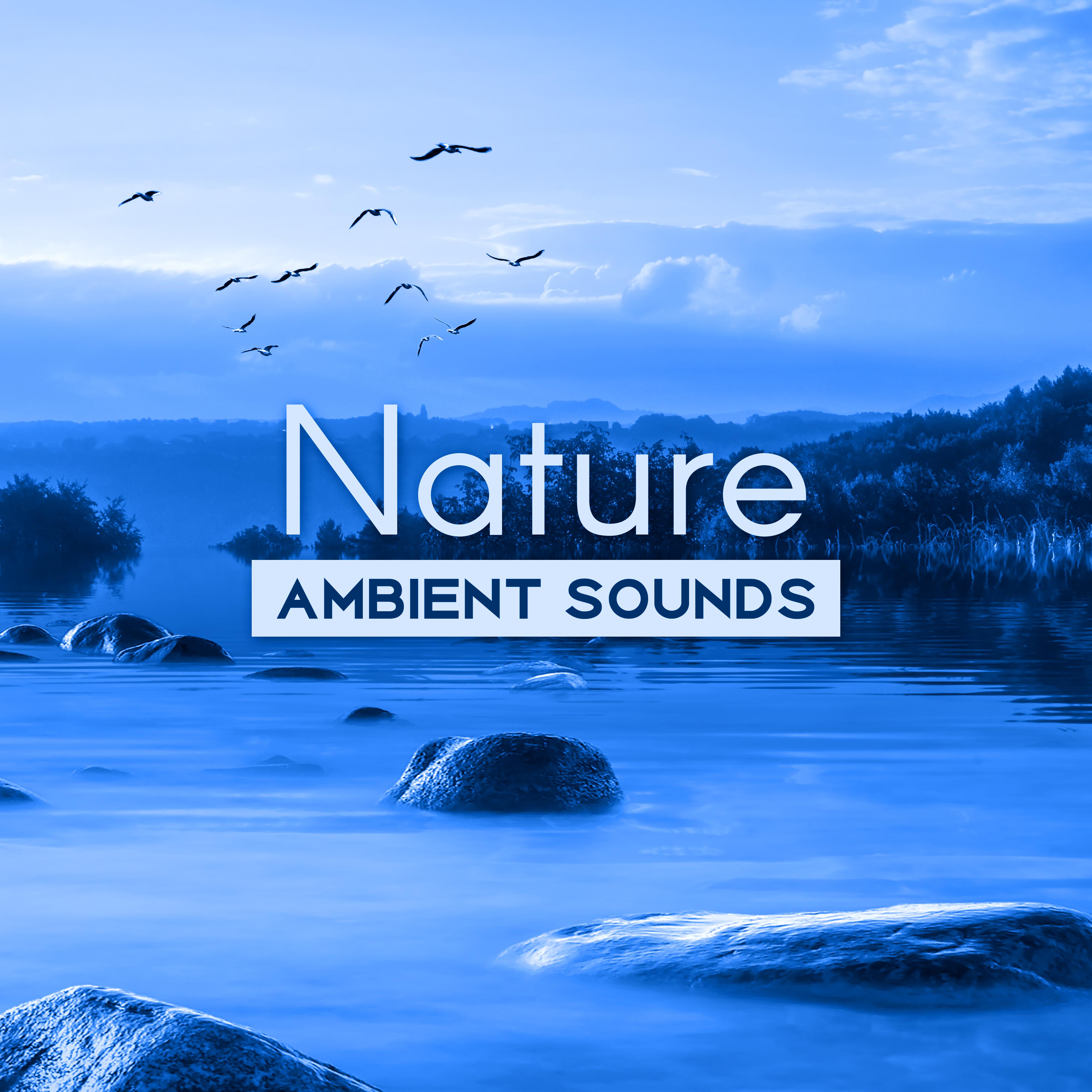 Nature Ambient Sounds – Calm Sounds to Relax, Nature Relaxation, New Age Music to Rest, Healing Sounds, Therapy with Music