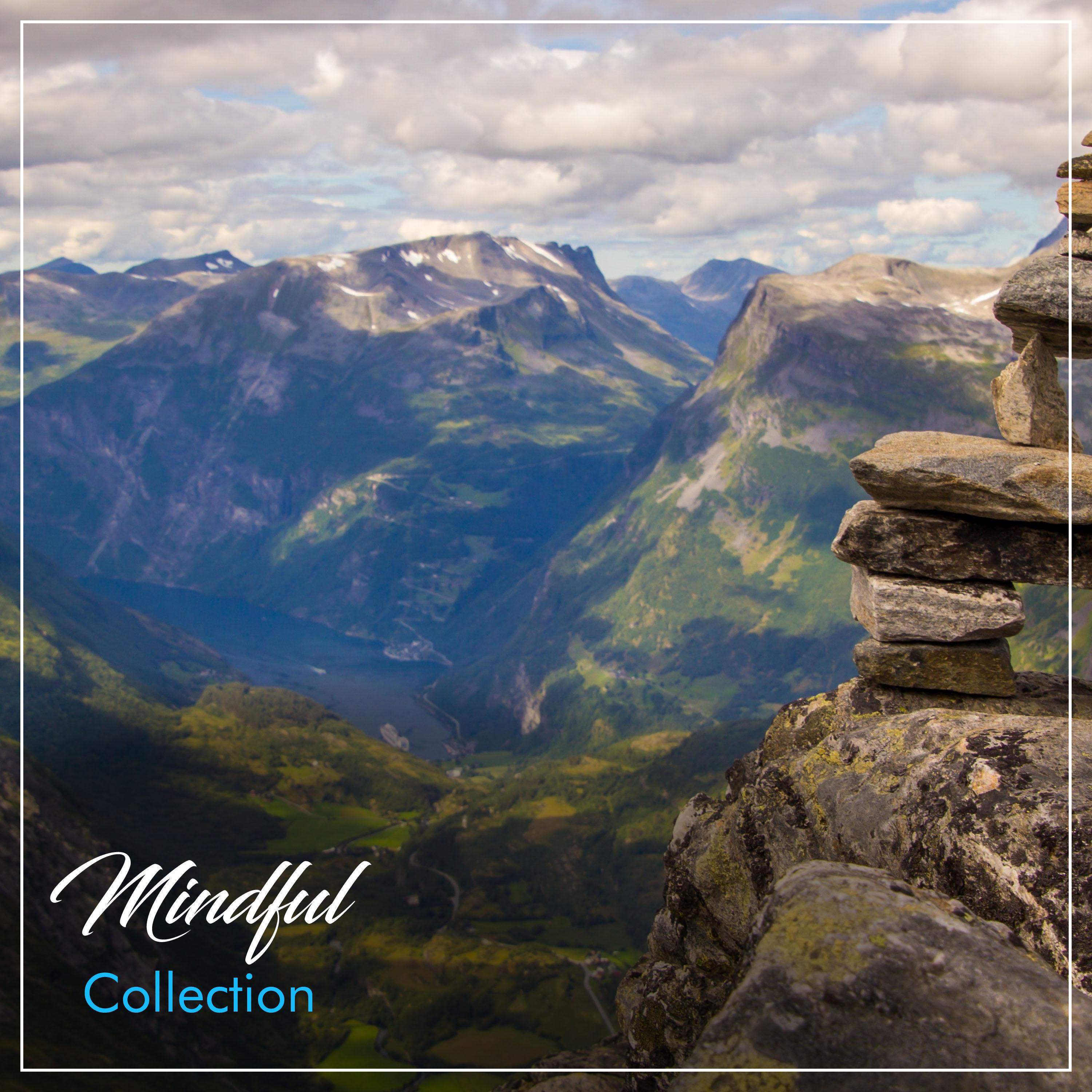 #21 Mindful Collection for Meditation
