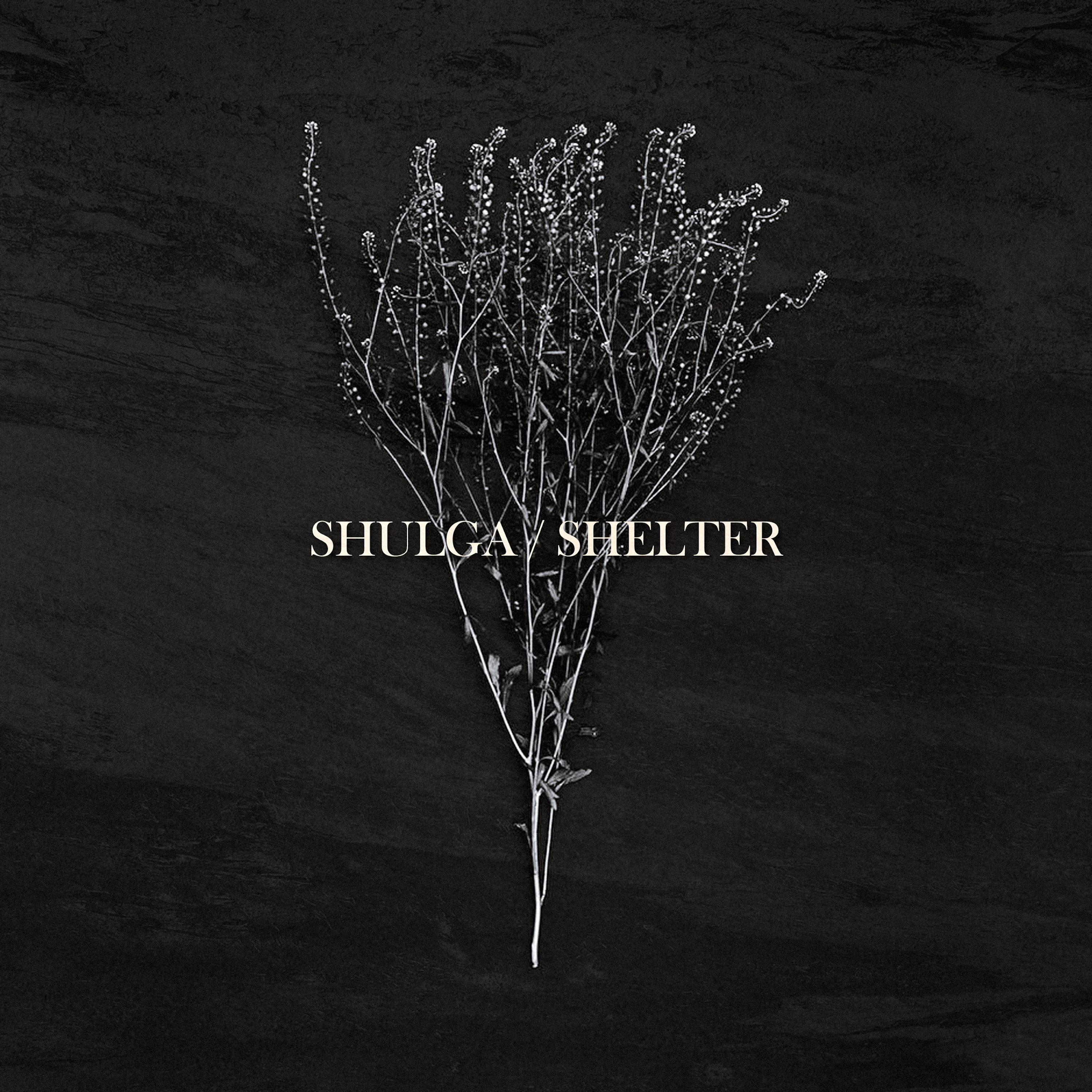 Shelter