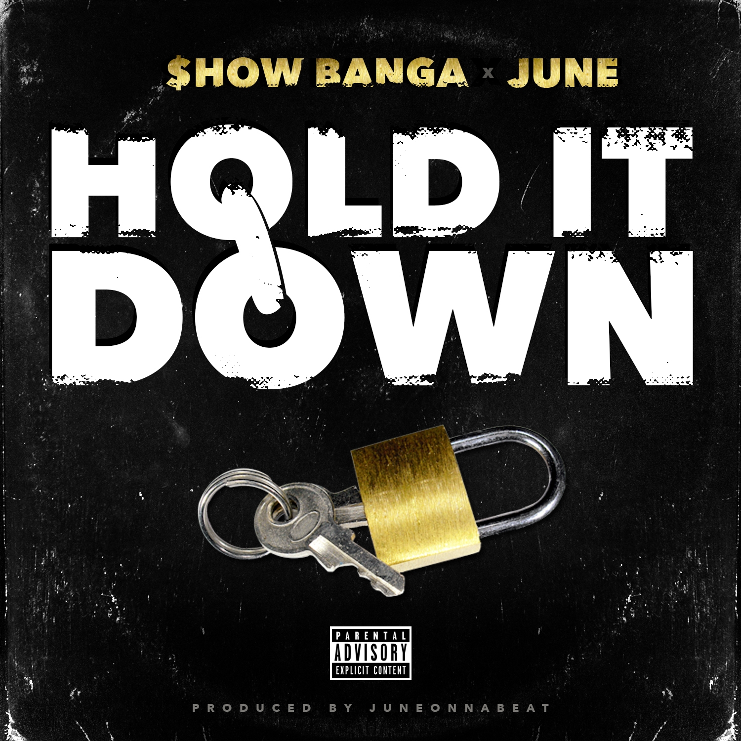 Hold It Down - Single