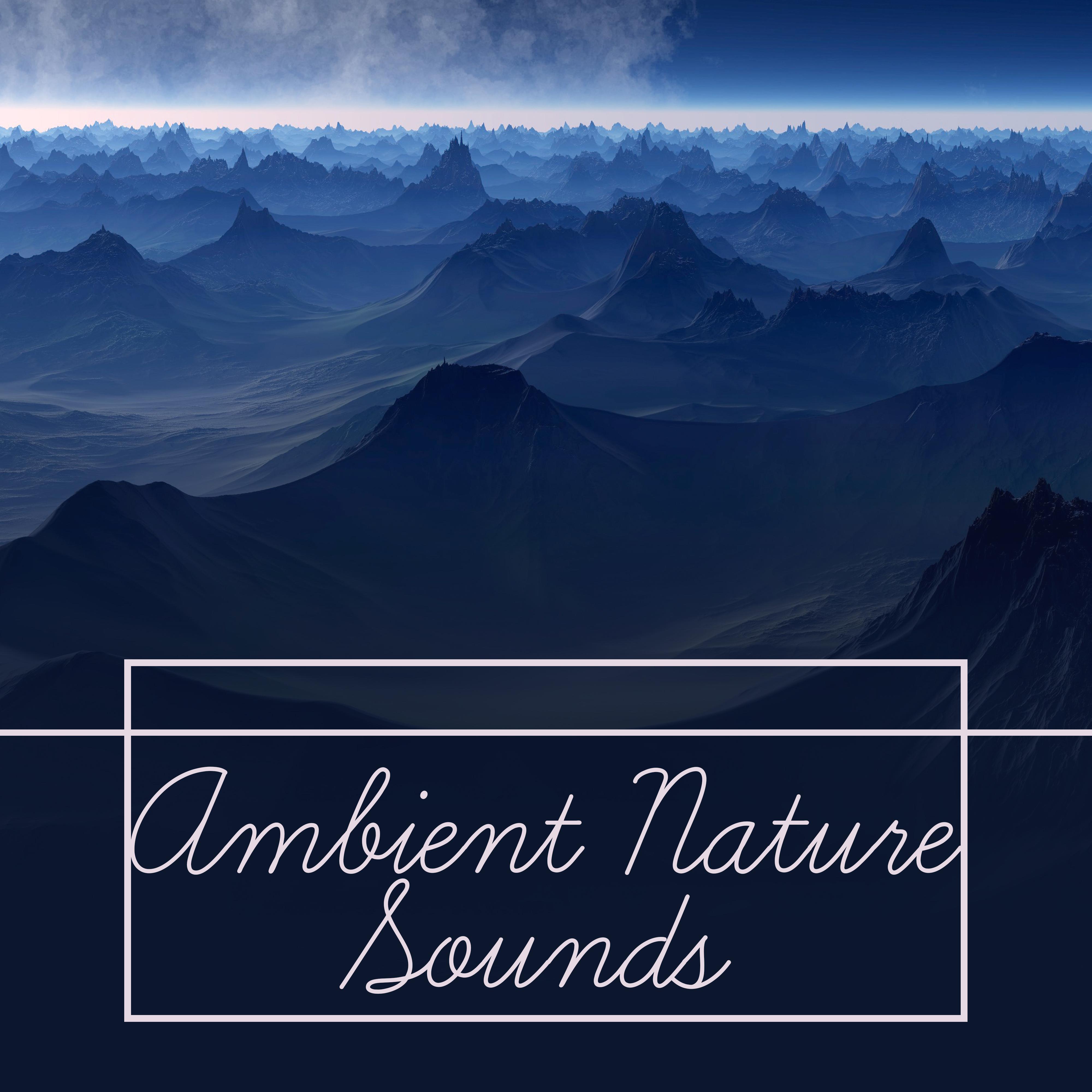 Ambient Nature Sounds – Soft Music for Relaxation, Delicate Rain, Pure Waves, Stress Free, Pure Sleep, Soothing Sounds