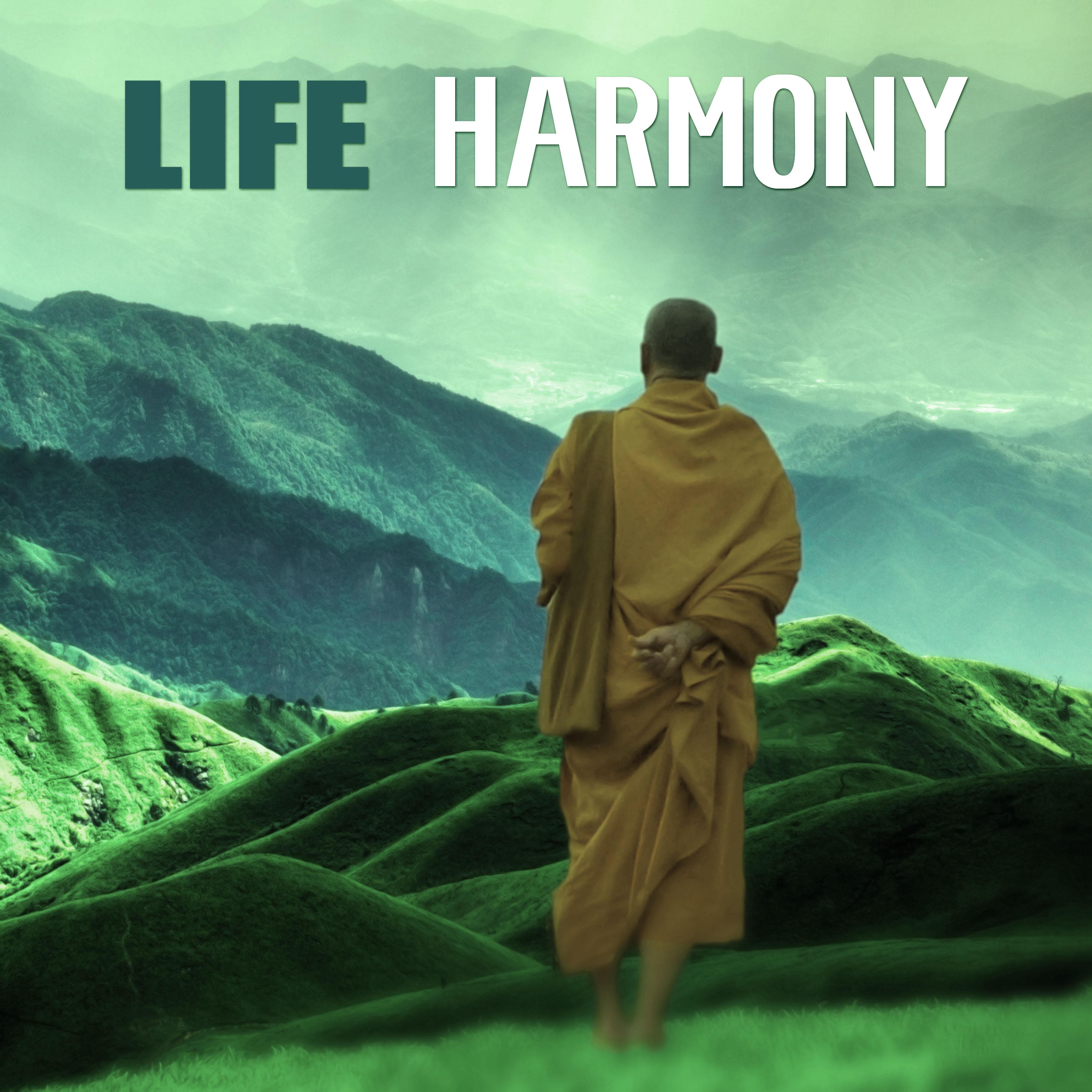 Life Harmony - Nature Sounds, Calm Your Spirit, Ocean Sounds for Yoga Class & Mindfulness Meditation, Zen, Reiki