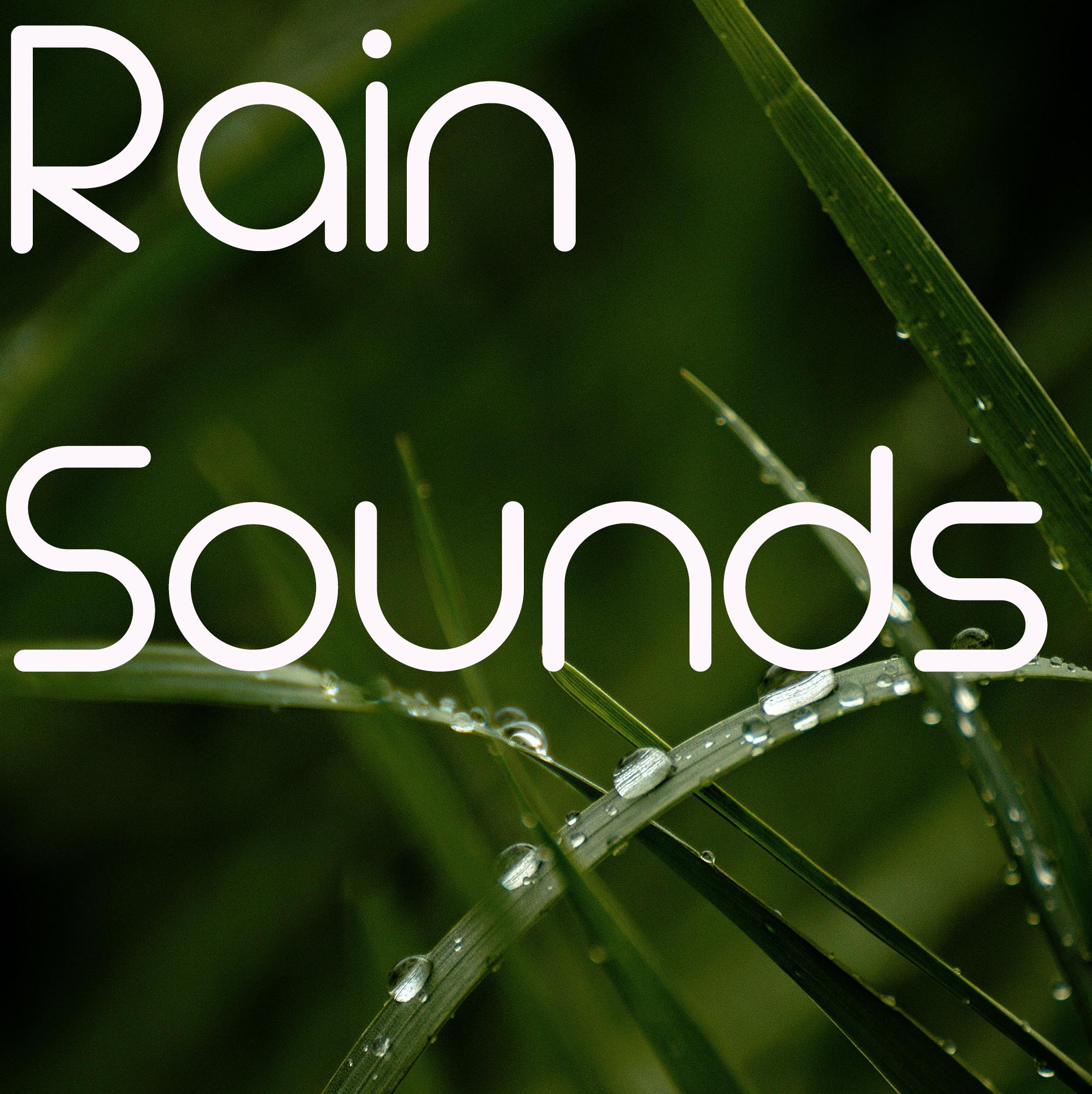 10 Rain and Nature Sounds to Loop for Mediation and Sleep