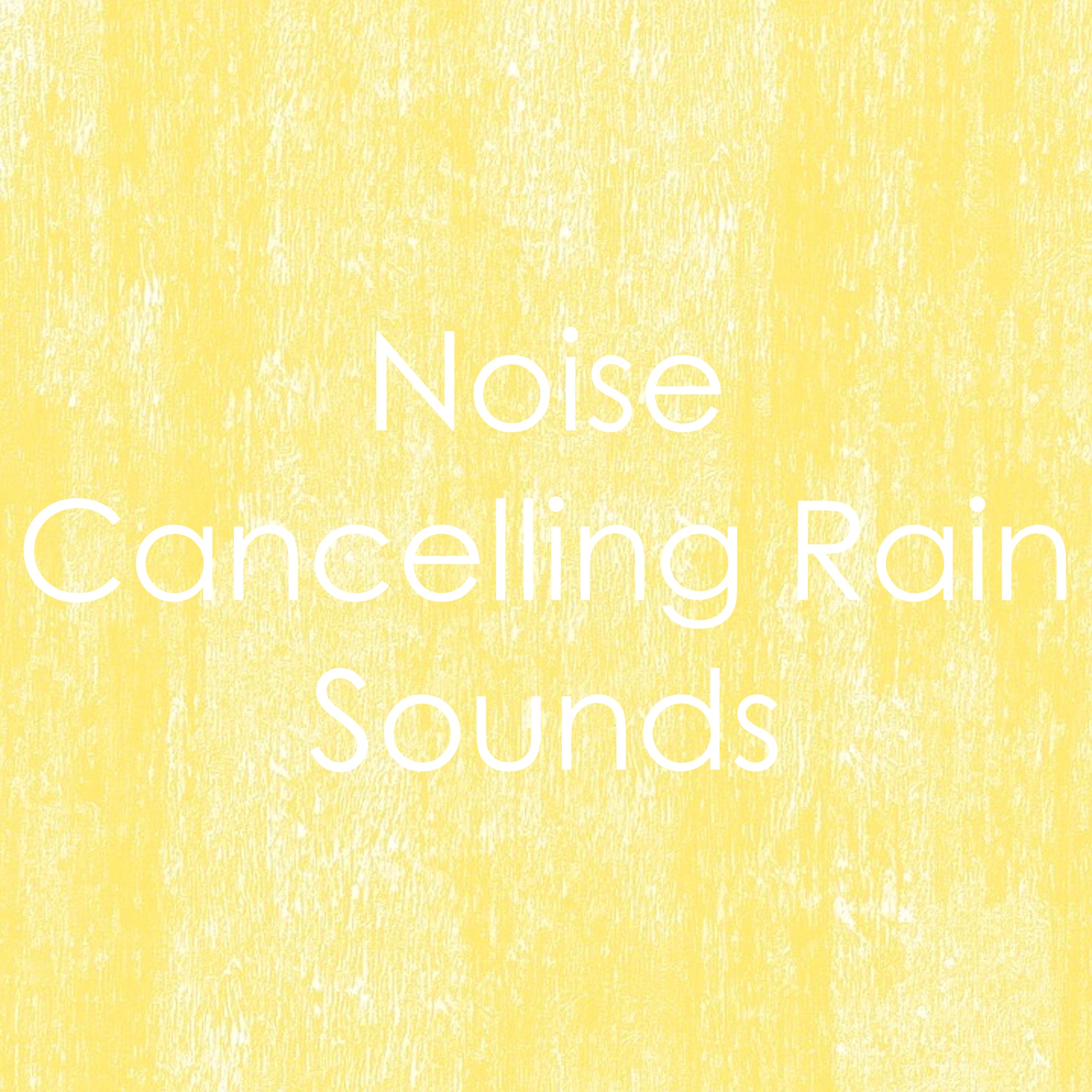 12 White Noise Rain Sounds: Deep Sleep