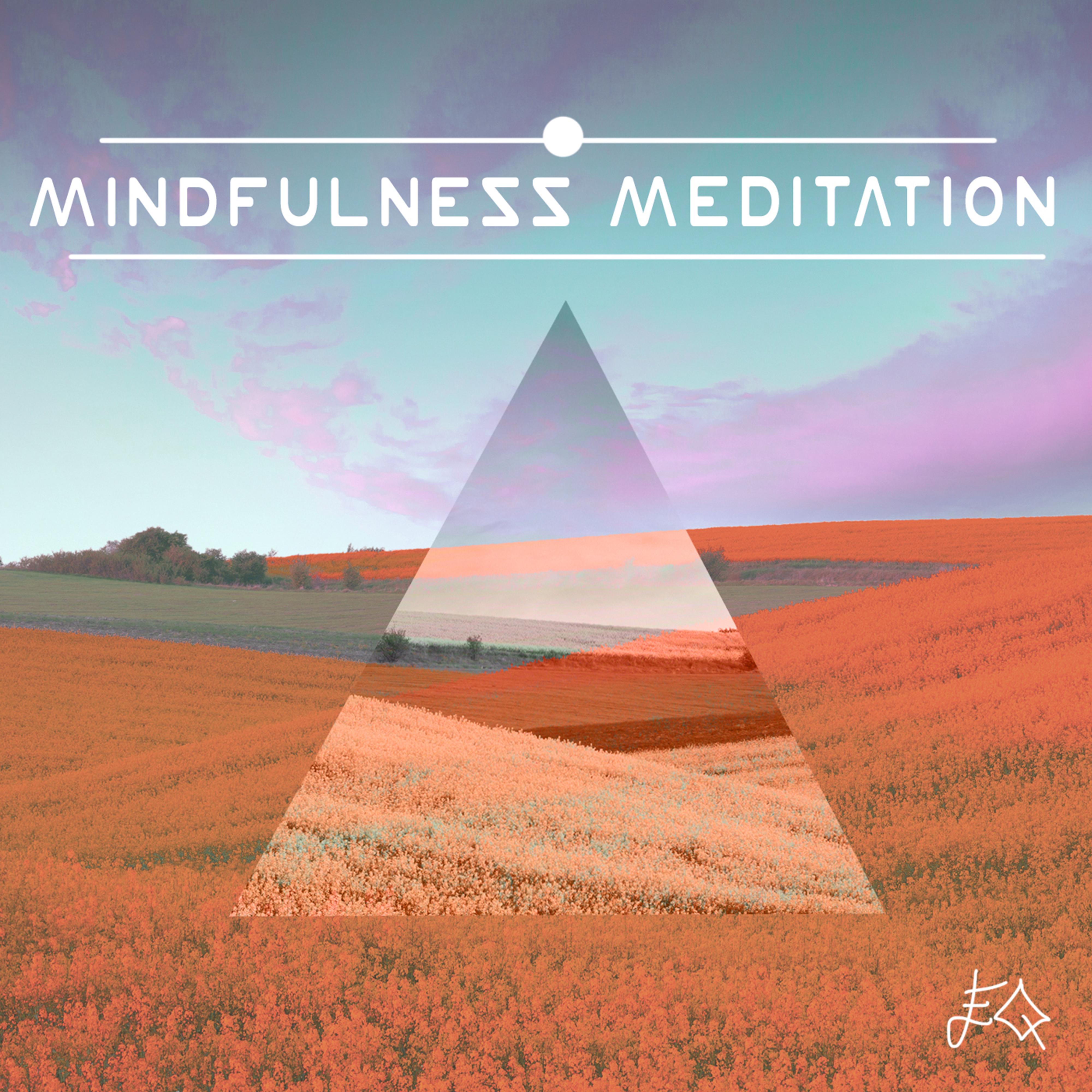 Mindfulness Meditation - Music for Mindful Meditation & Relaxation Songs to Meditate In Peace Mindfully
