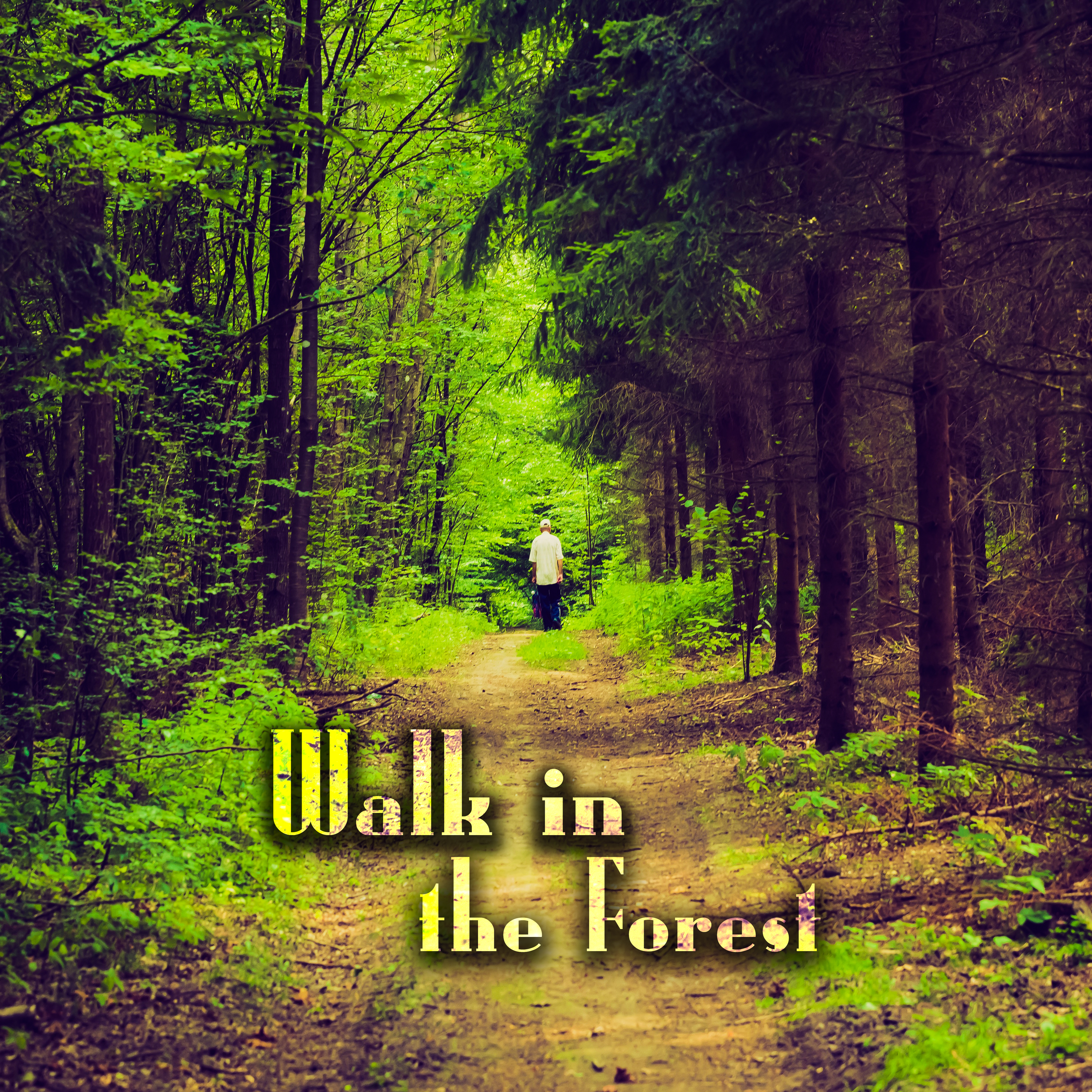 Walk in the Forest – Nature Relaxing Sounds, New Age Music, Stress Relief