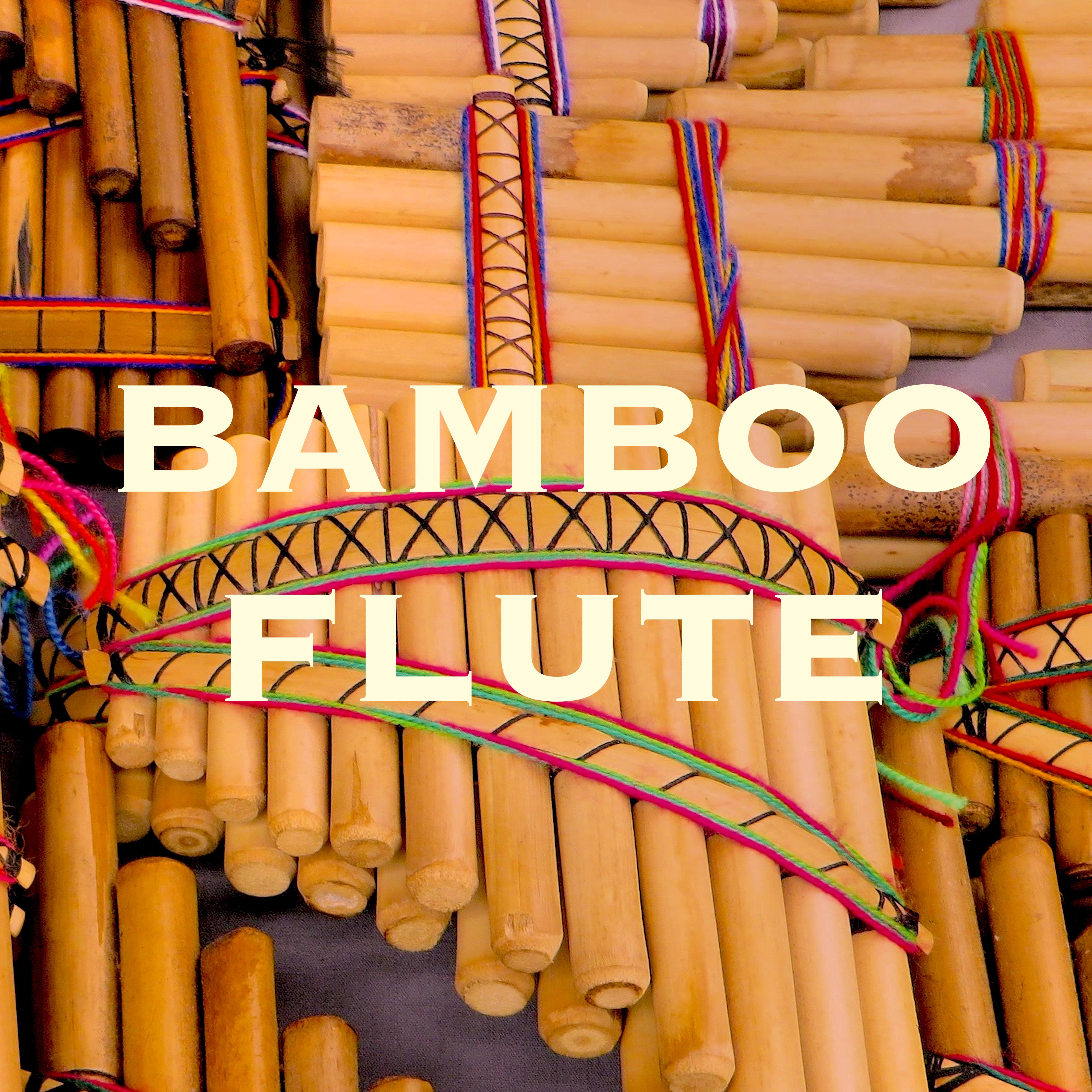 Bamboo Flute: Musique Asiatique pour Méditation Trascendental et Mindfulness meditation avec Shakuhachi Flute