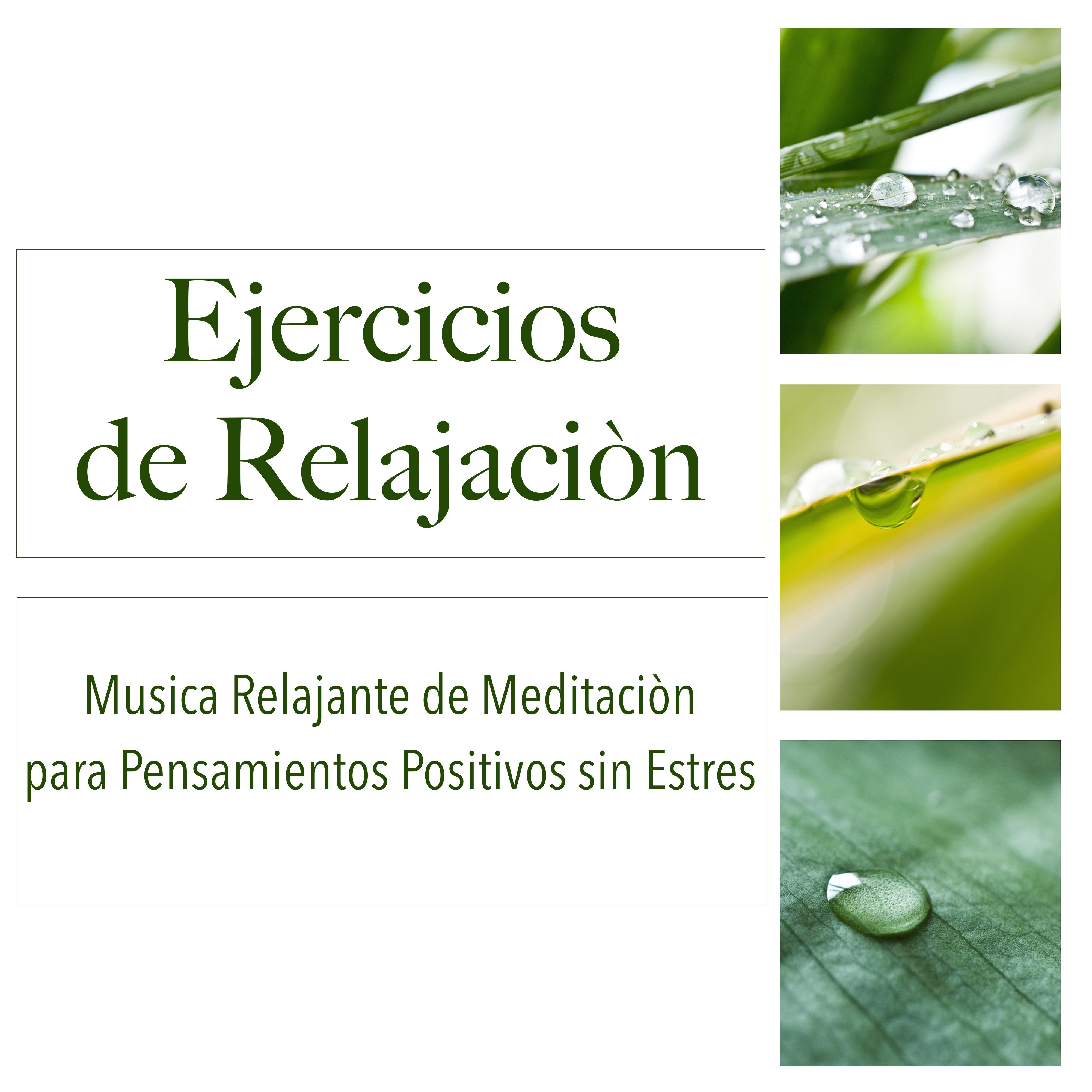 Ejercicios de Relajaciòn - Musica Relajante de Meditaciòn para Pensamientos Positivos sin Estres