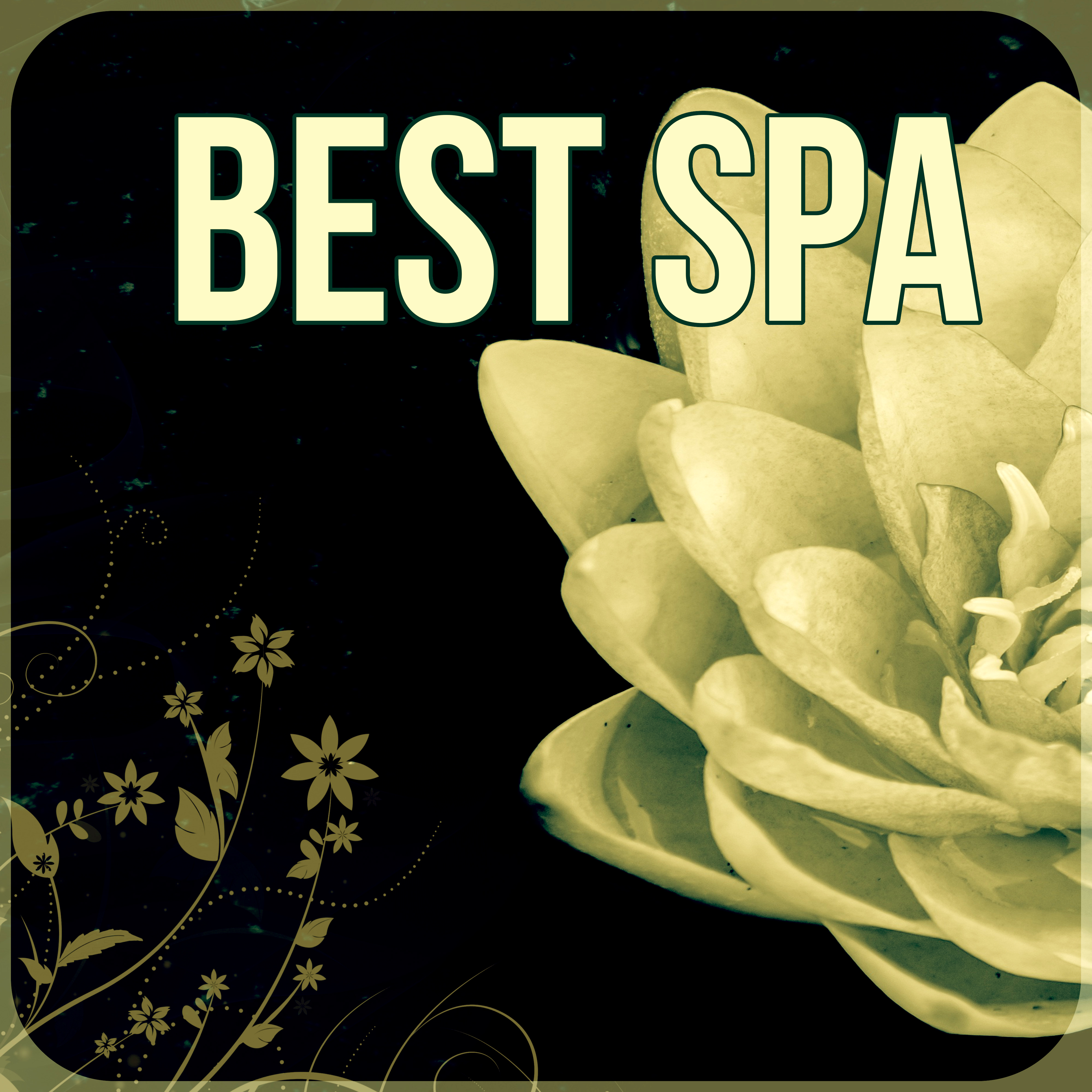 Best Spa – New Age Music for Massage, Music Therapy, Ocean Waves, Hydro Energy Body Massage, First Class, Aromatherapy, Wellness, Well-Being