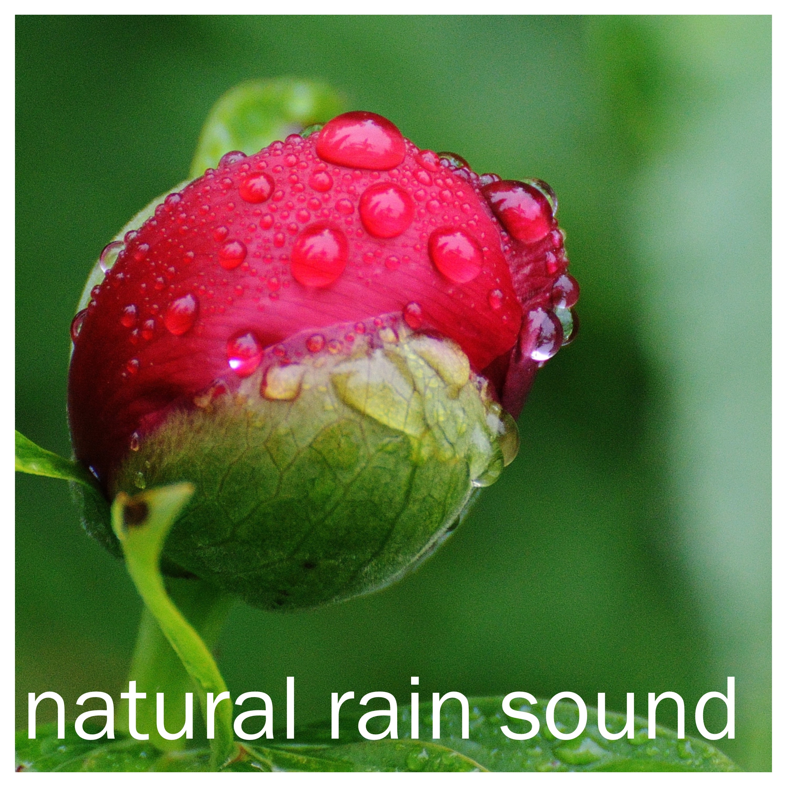 16 Rain Sounds to Calm the Mind, Relieve Stress and Unwind