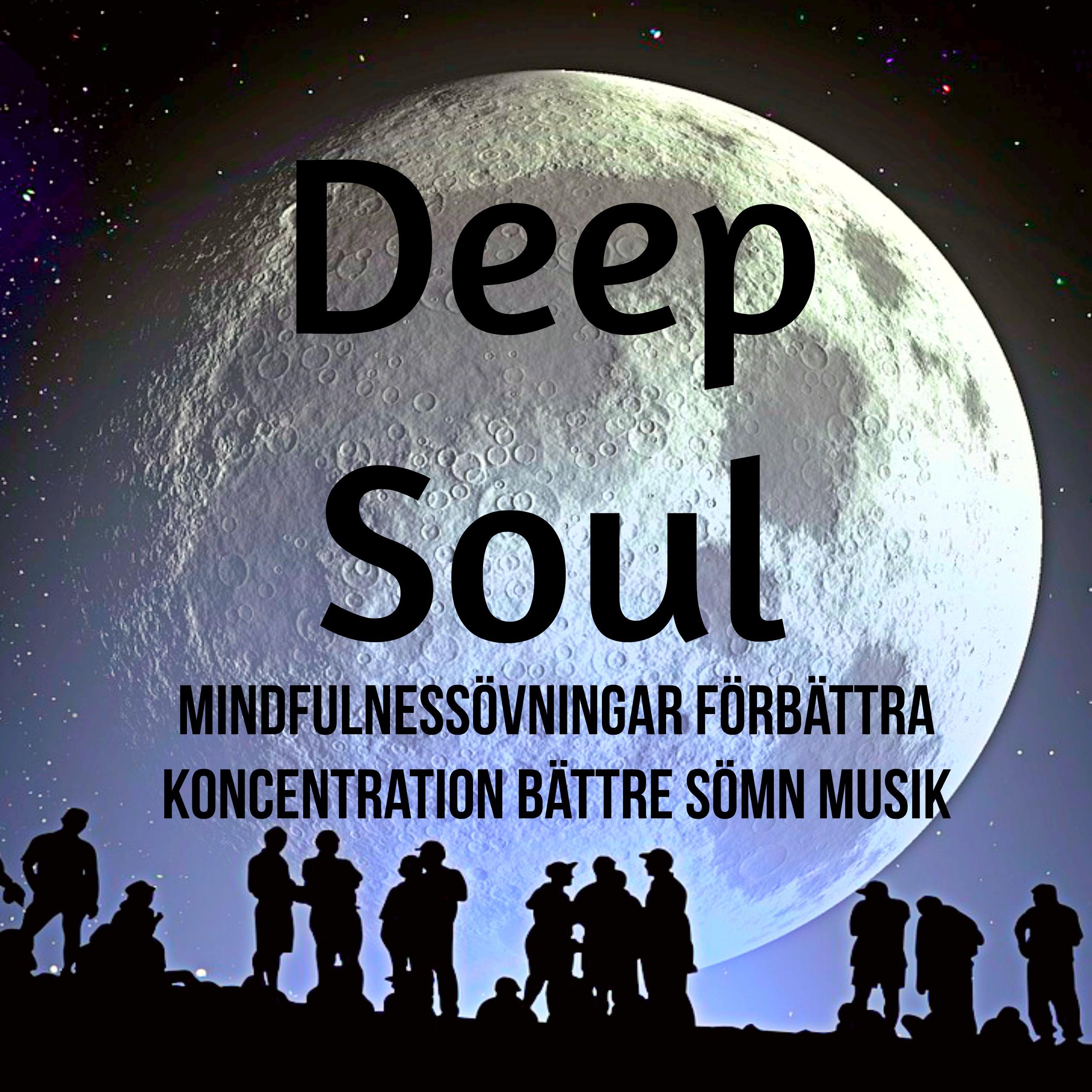 Deep Soul - Mindfulnessövningar Förbättra Koncentration Bättre Sömn Musik med Instrumental New Age Natur Lugnande Ljud