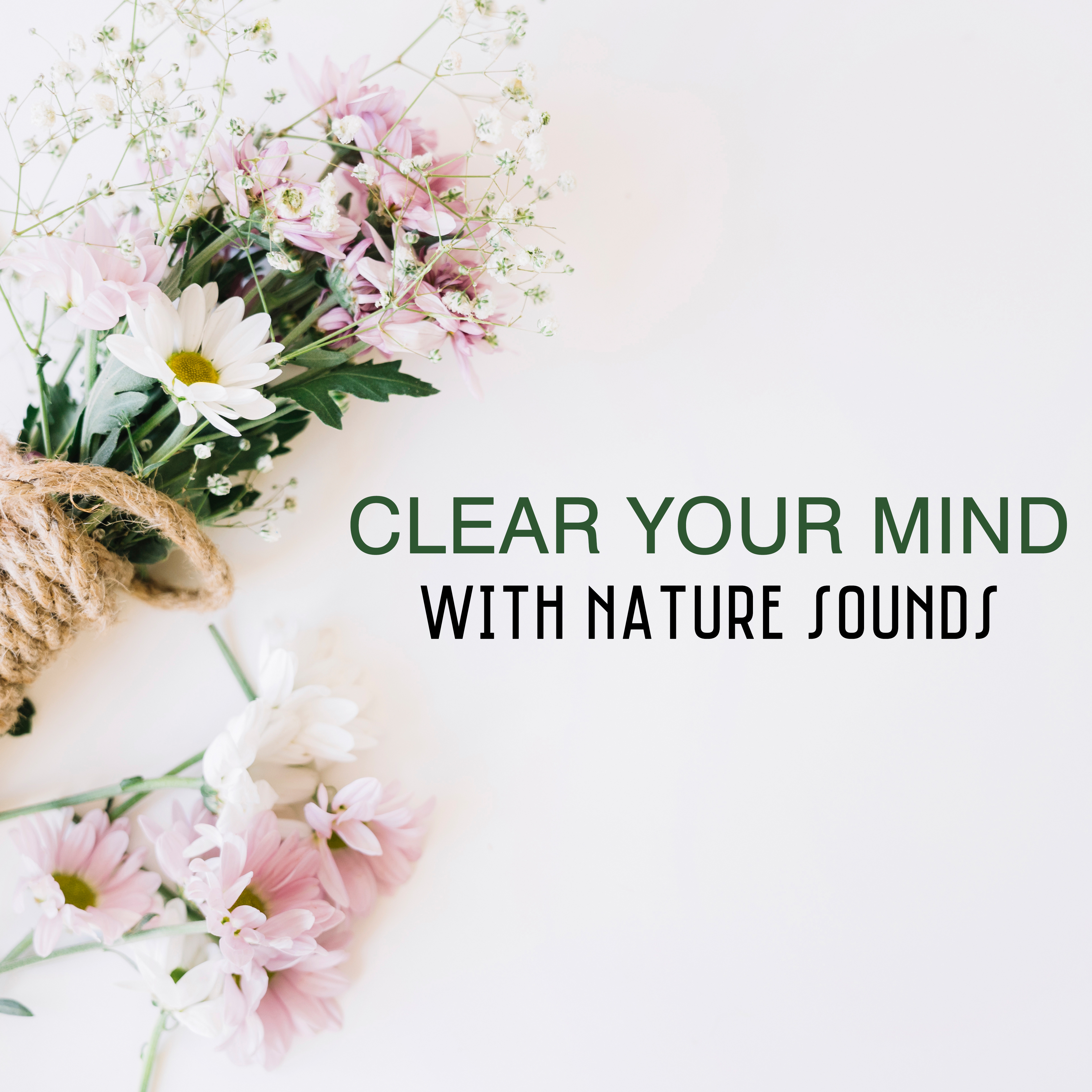 Clear Your Mind With Nature Sounds