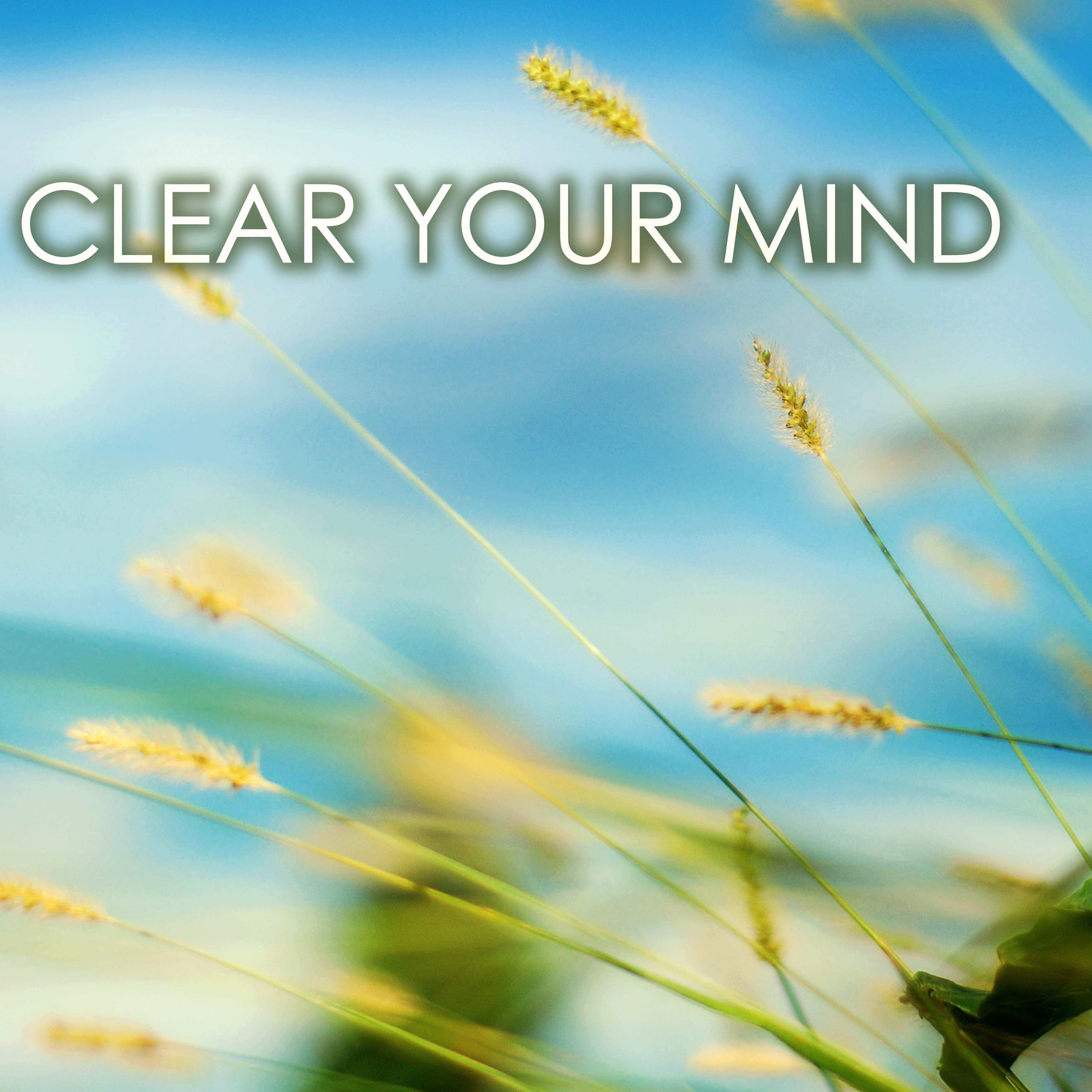 Clear Your Mind - Deep Concentration, Focus Music for Studying