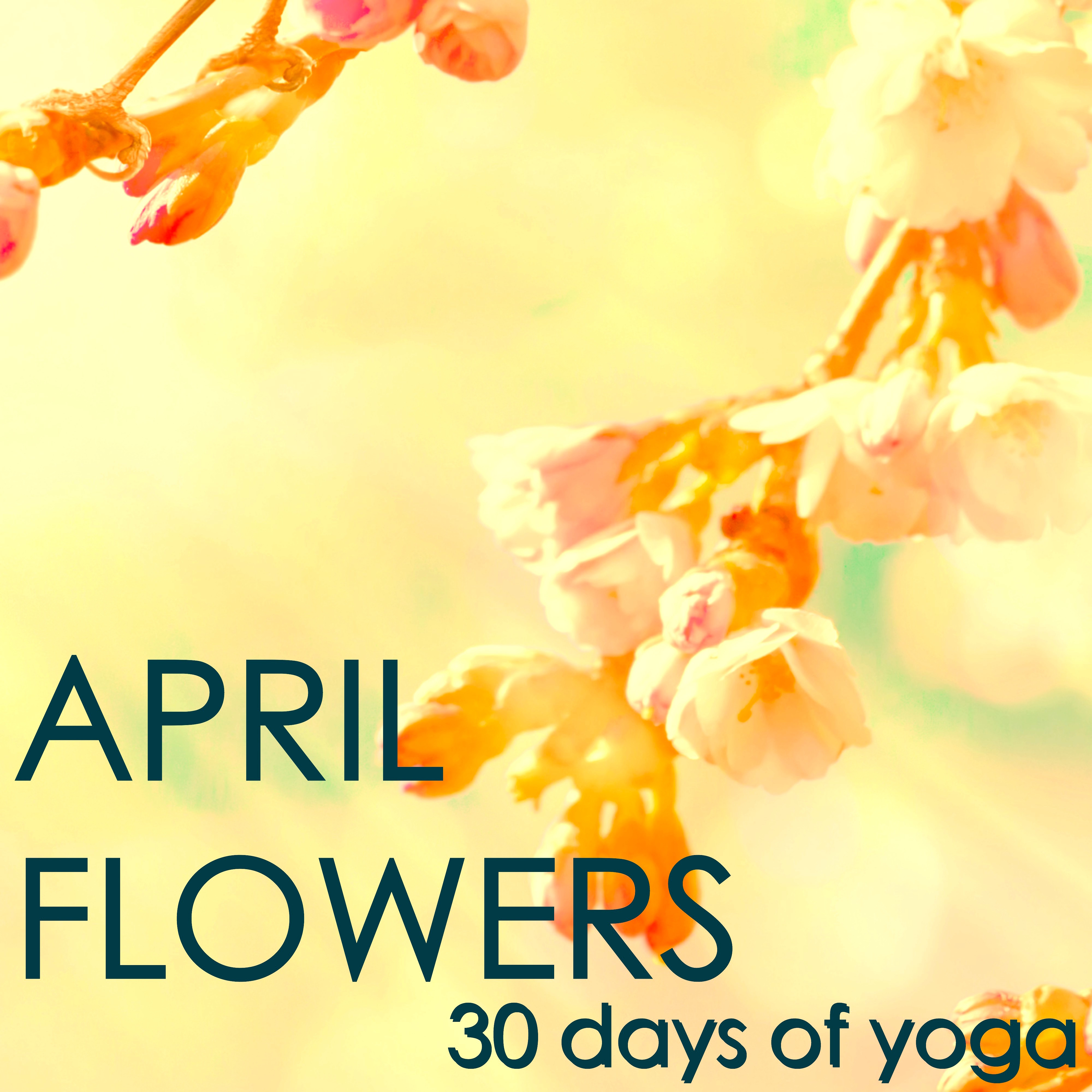 April Flowers - 30 Days of Yoga: Spring Mood and Meditation Yoga Music, Nature Sounds, Bird and Wind for Daily Meditation and Yoga Sun Salutation