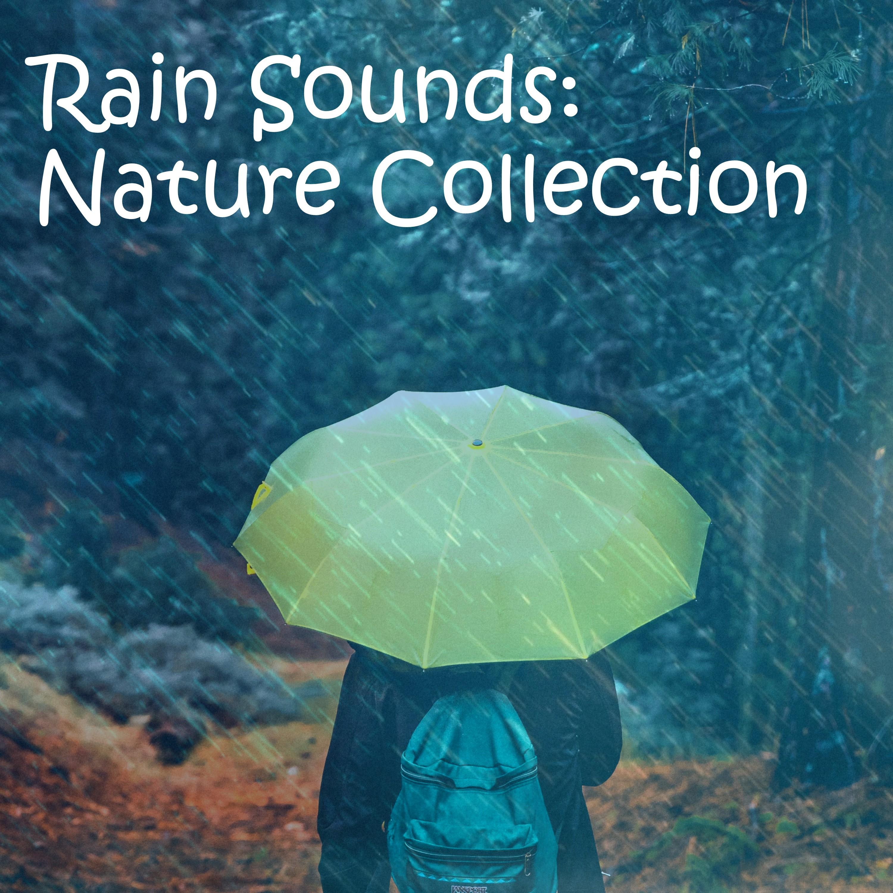 18 Sounds of Rain and Nature to Aid Meditation and Reduce Stress