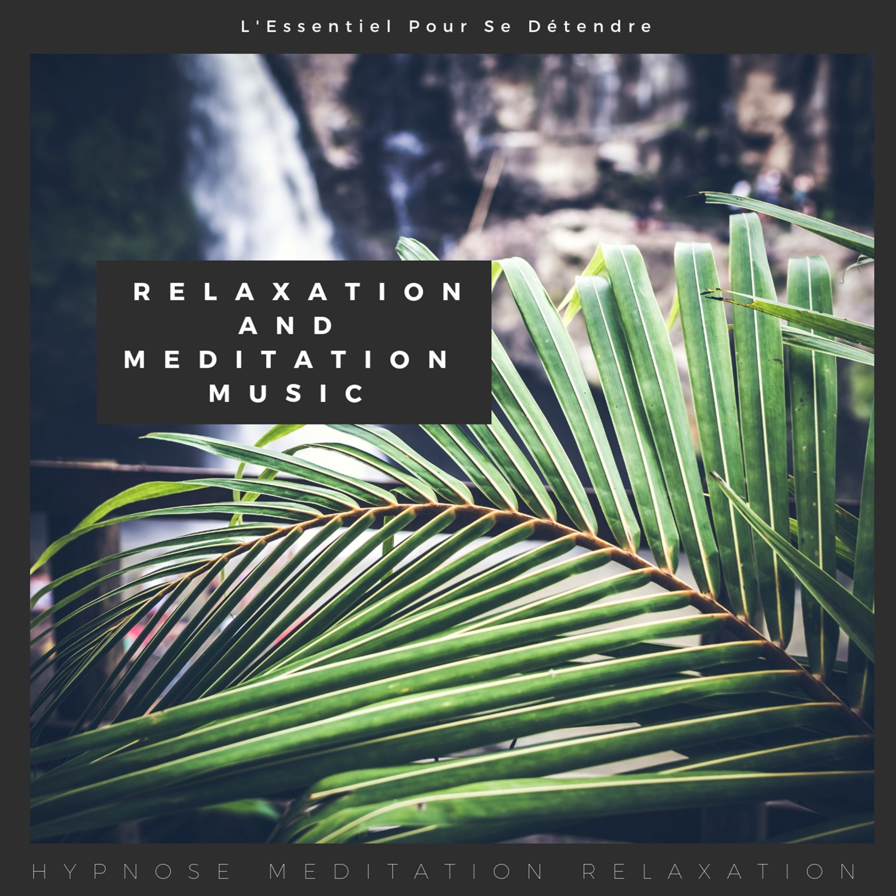 Relaxation and Meditation Music