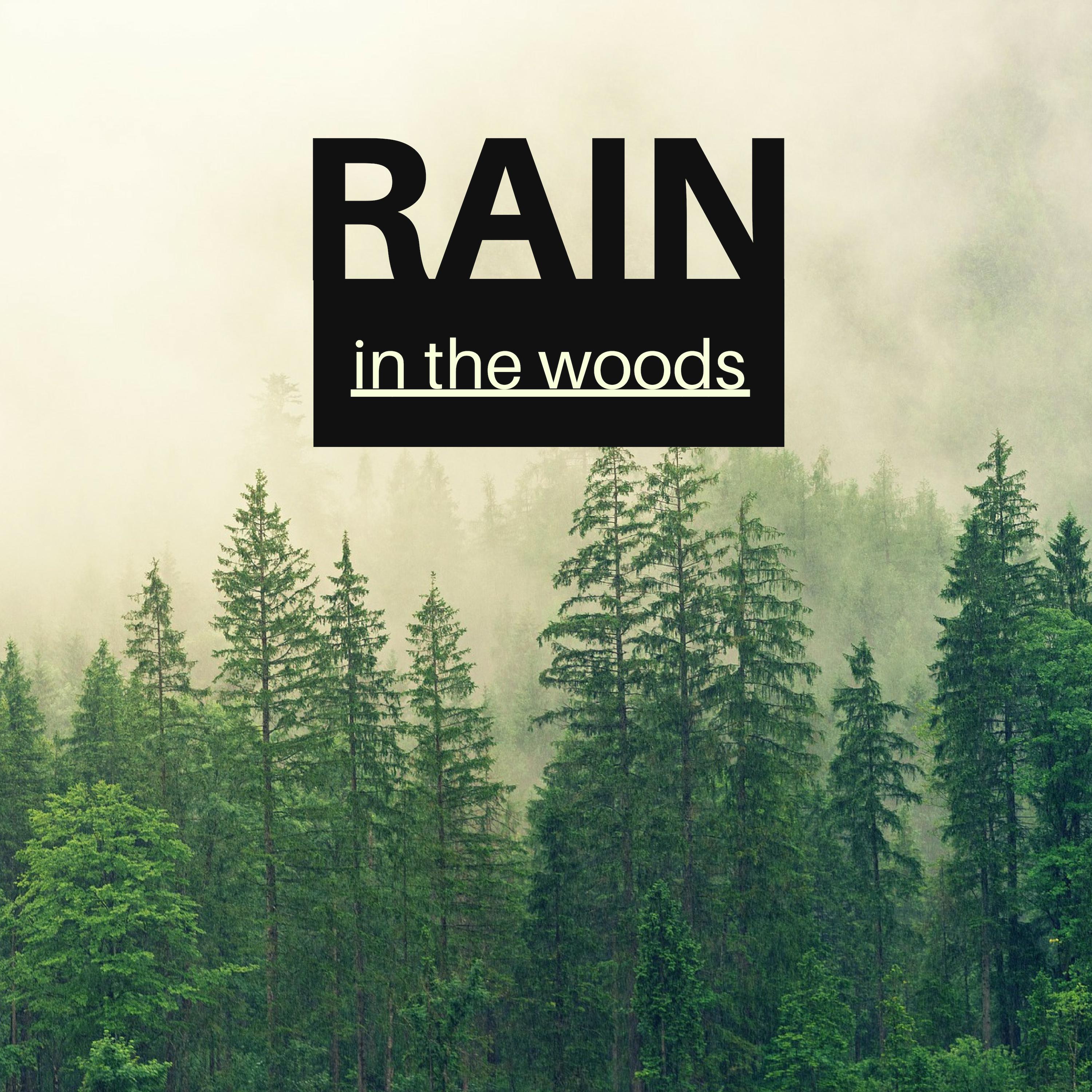 Rain in the Woods