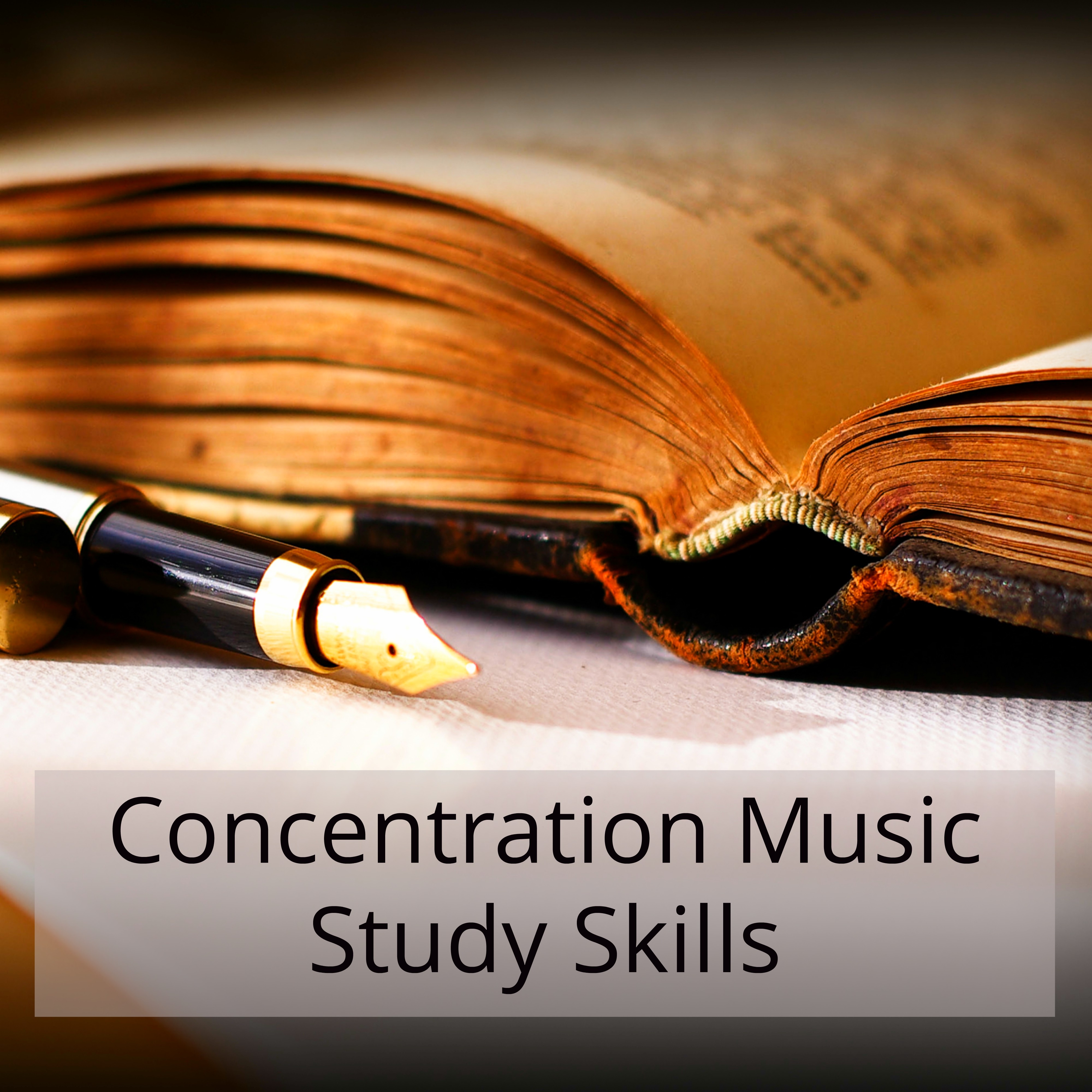 Focus Effective Studying Song