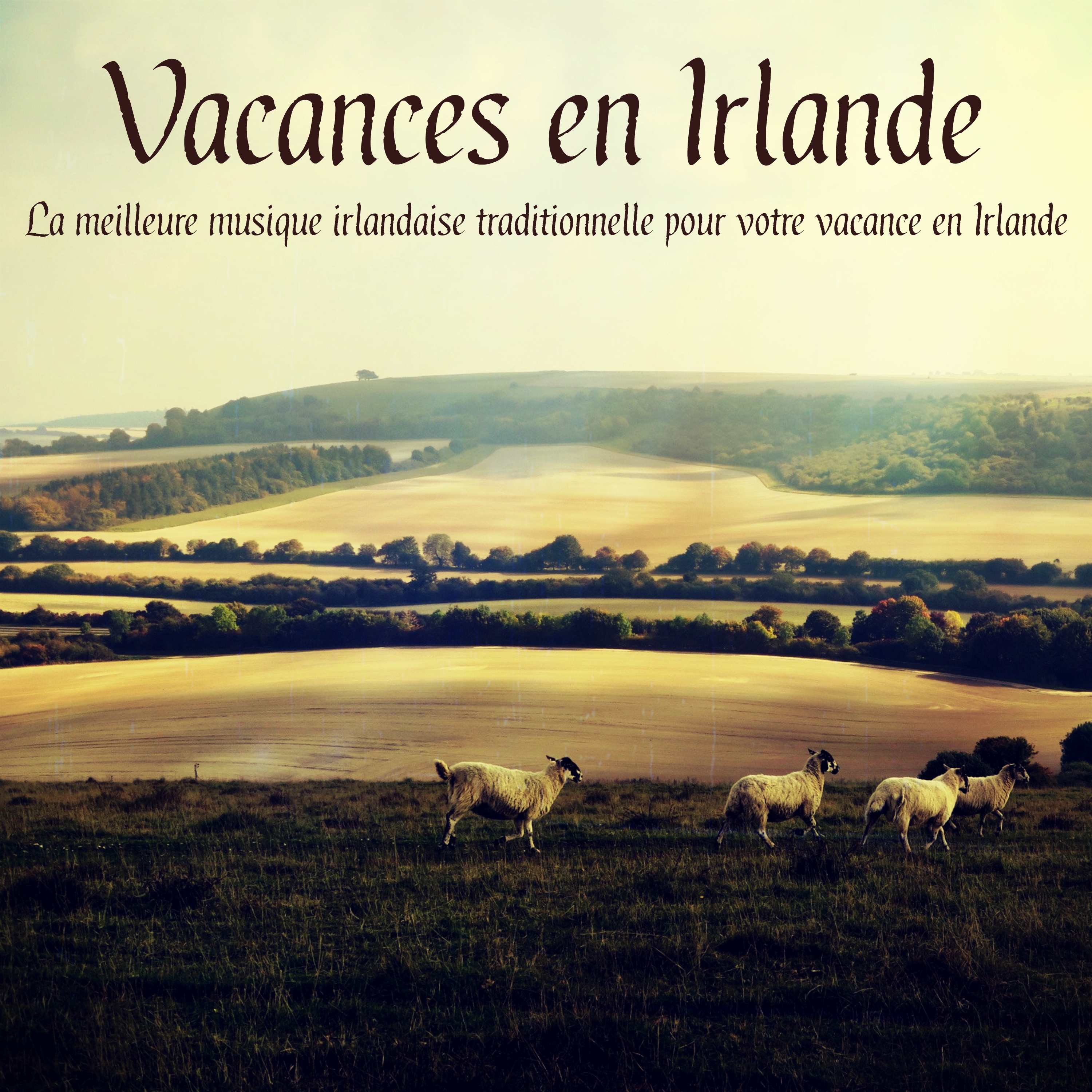 Vacances en Irlande - La meilleure musique irlandaise traditionnelle pour votre vacance en Irlande