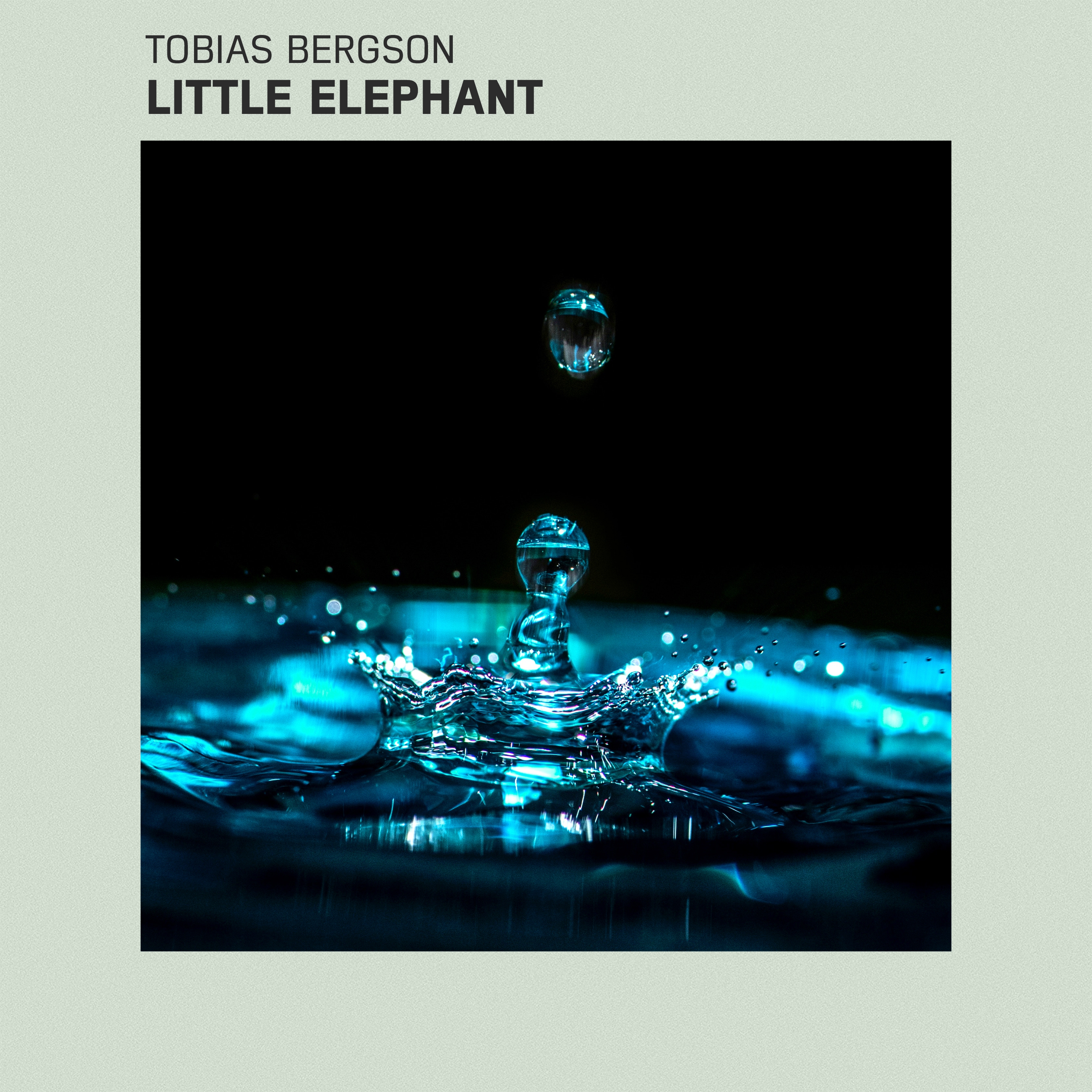 Little Elephant