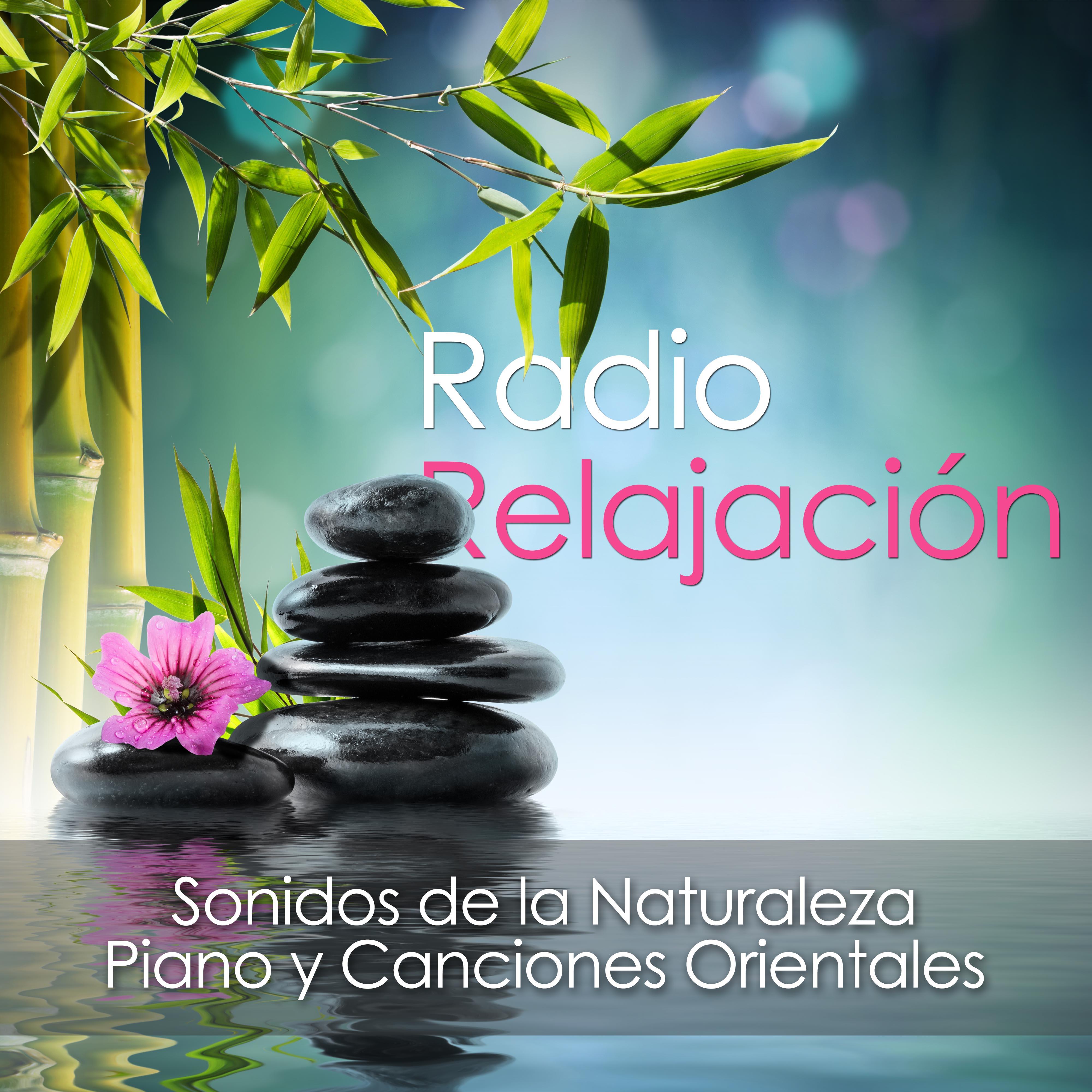 Radio Relajación - Sonidos de la Naturaleza, Piano y Canciones Orientales Budistas